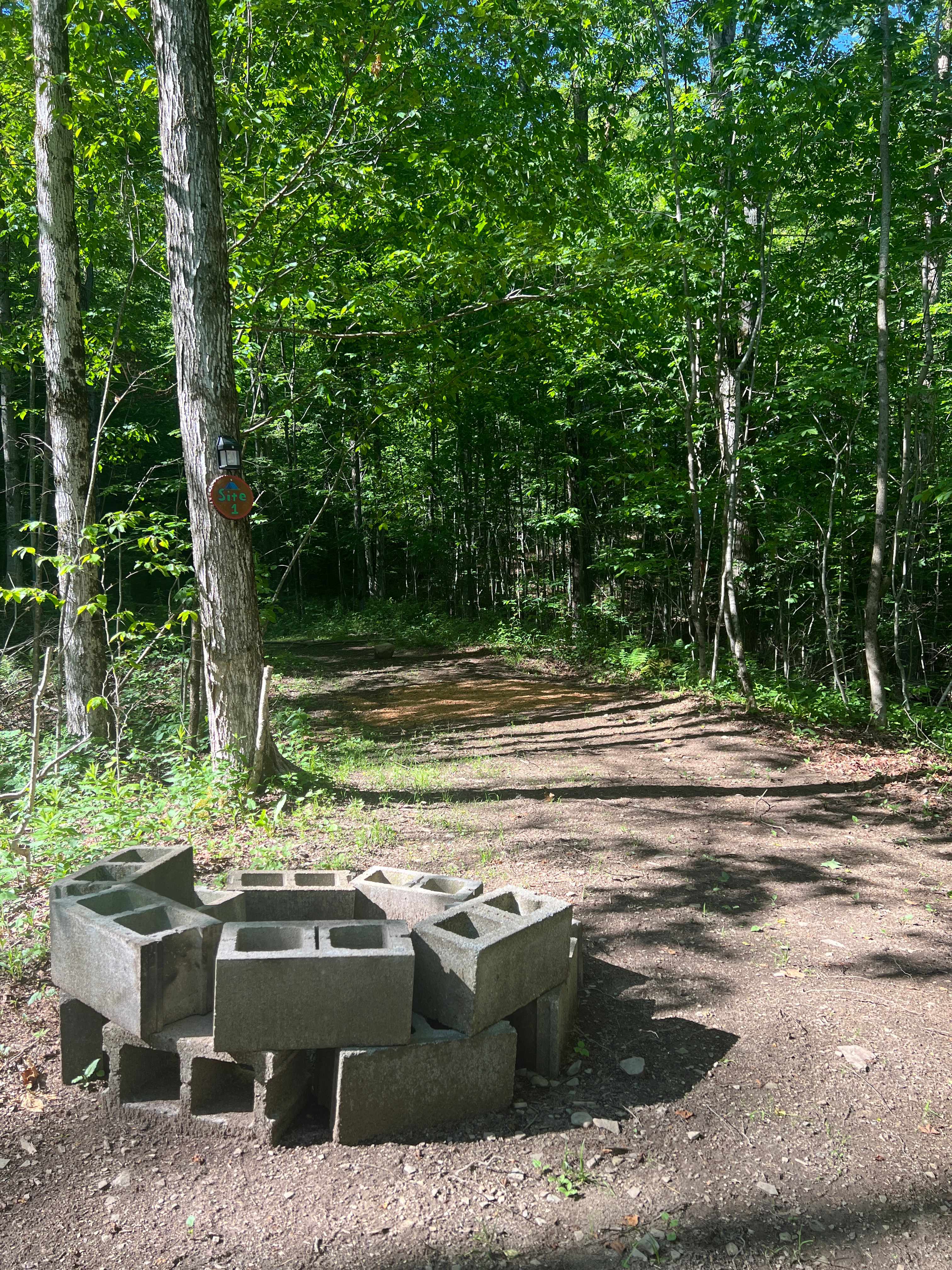 Picture of the site