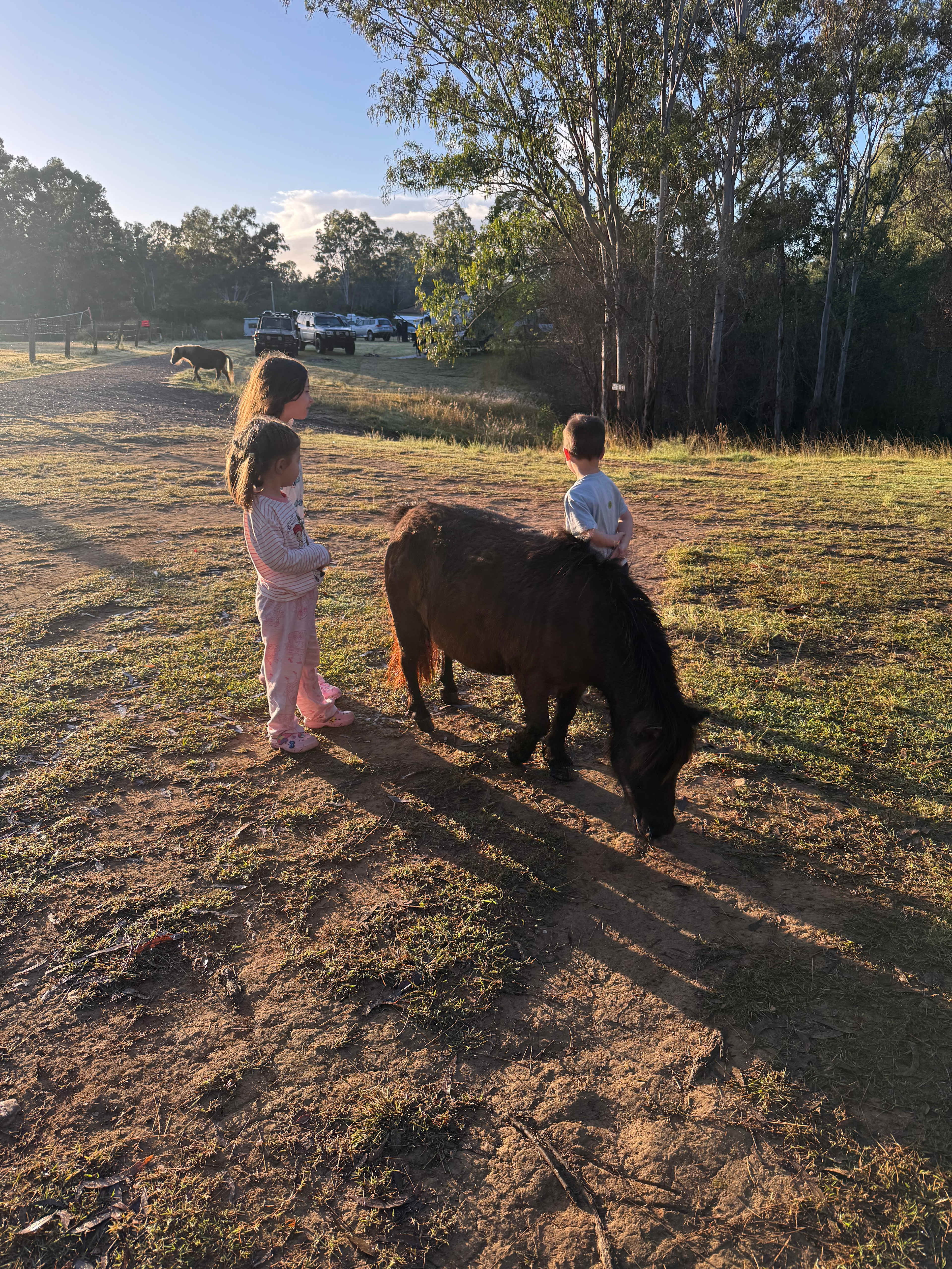 River Run Farm Camping
