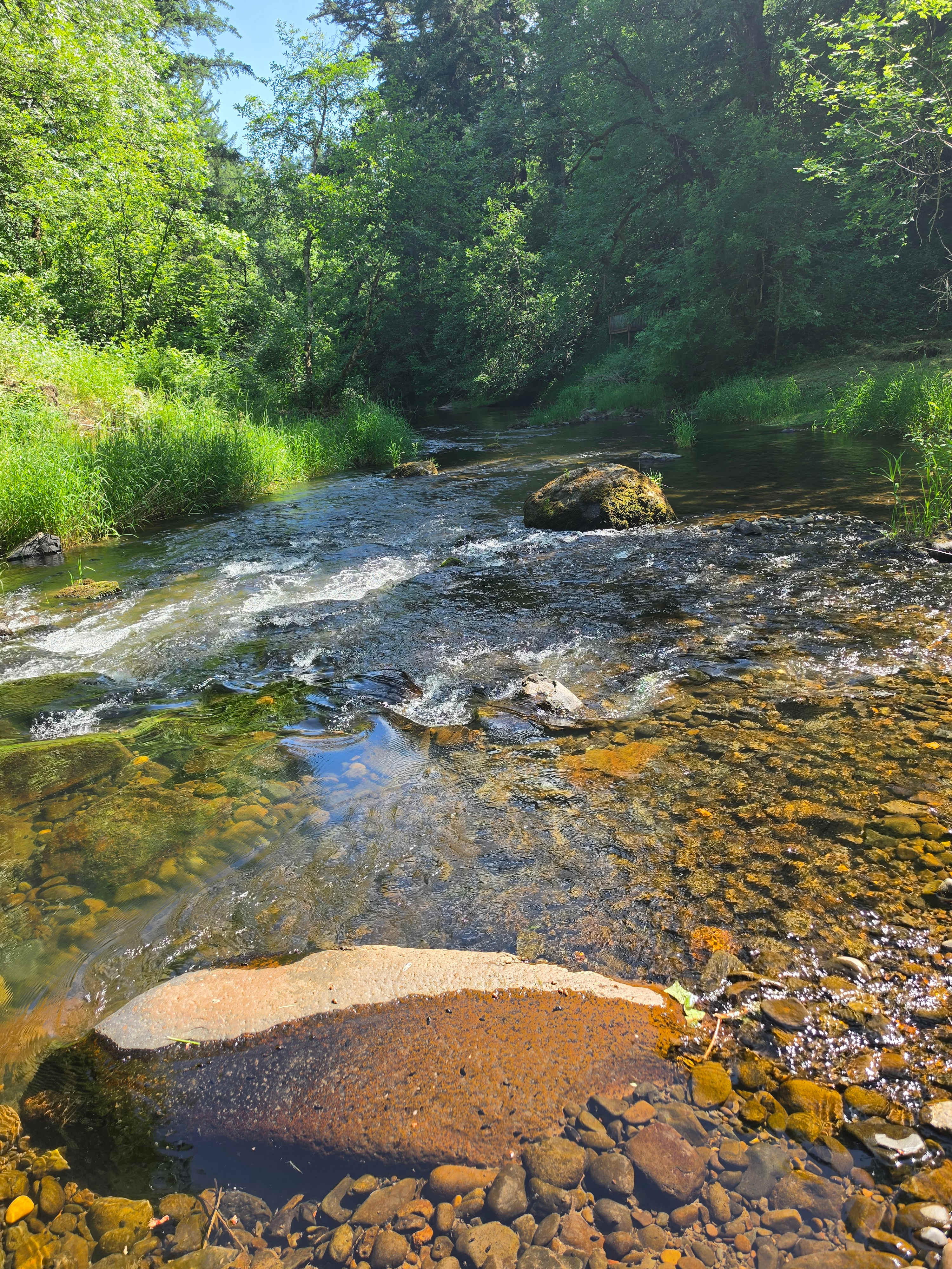 Riverside Park @ Get To-Gather Farm