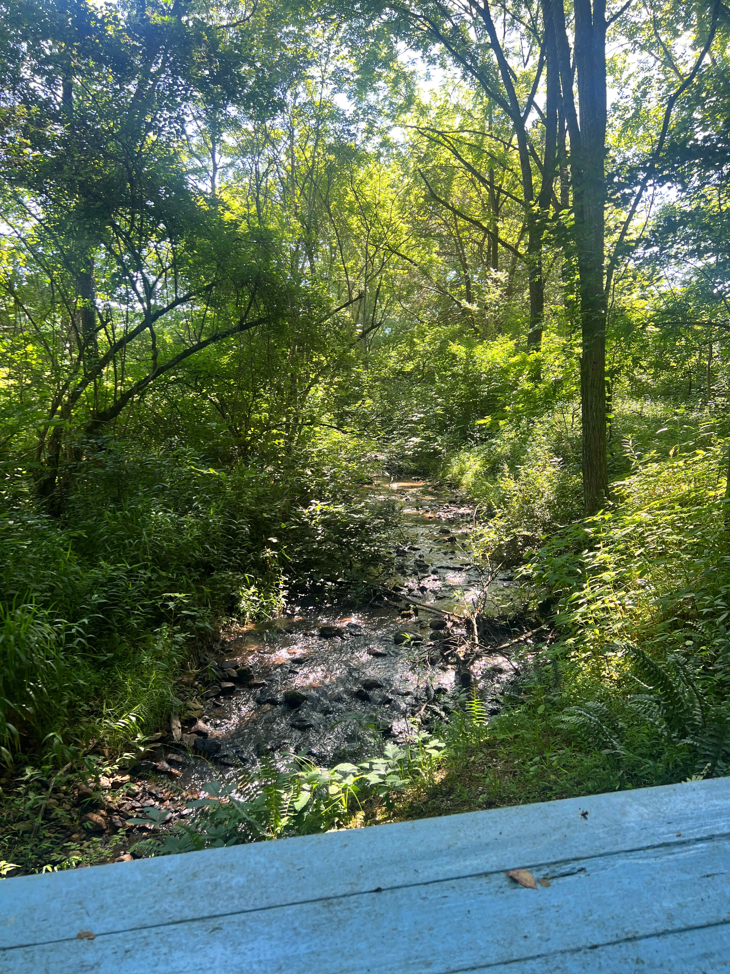Back side of site 