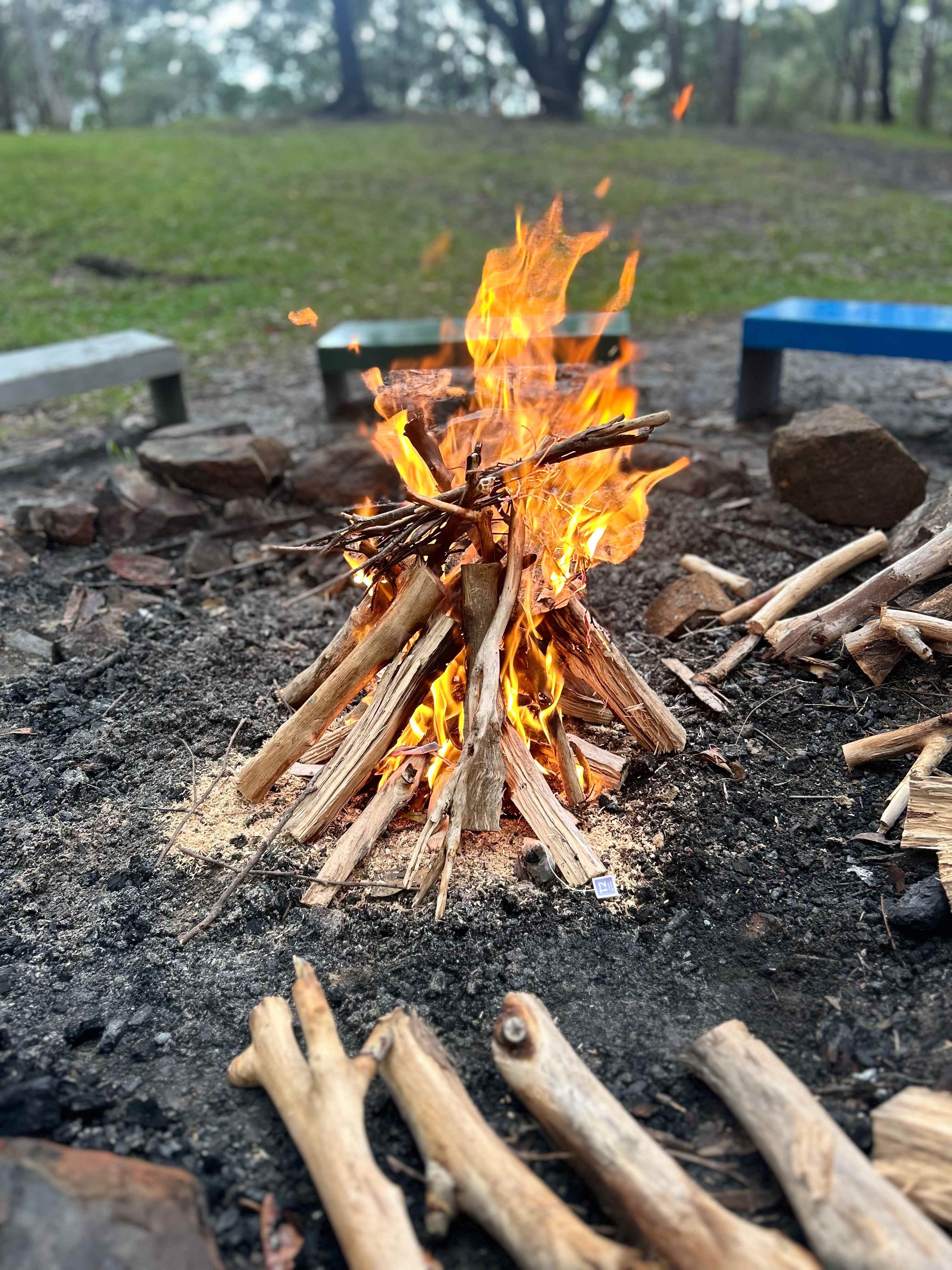 Great fire pit