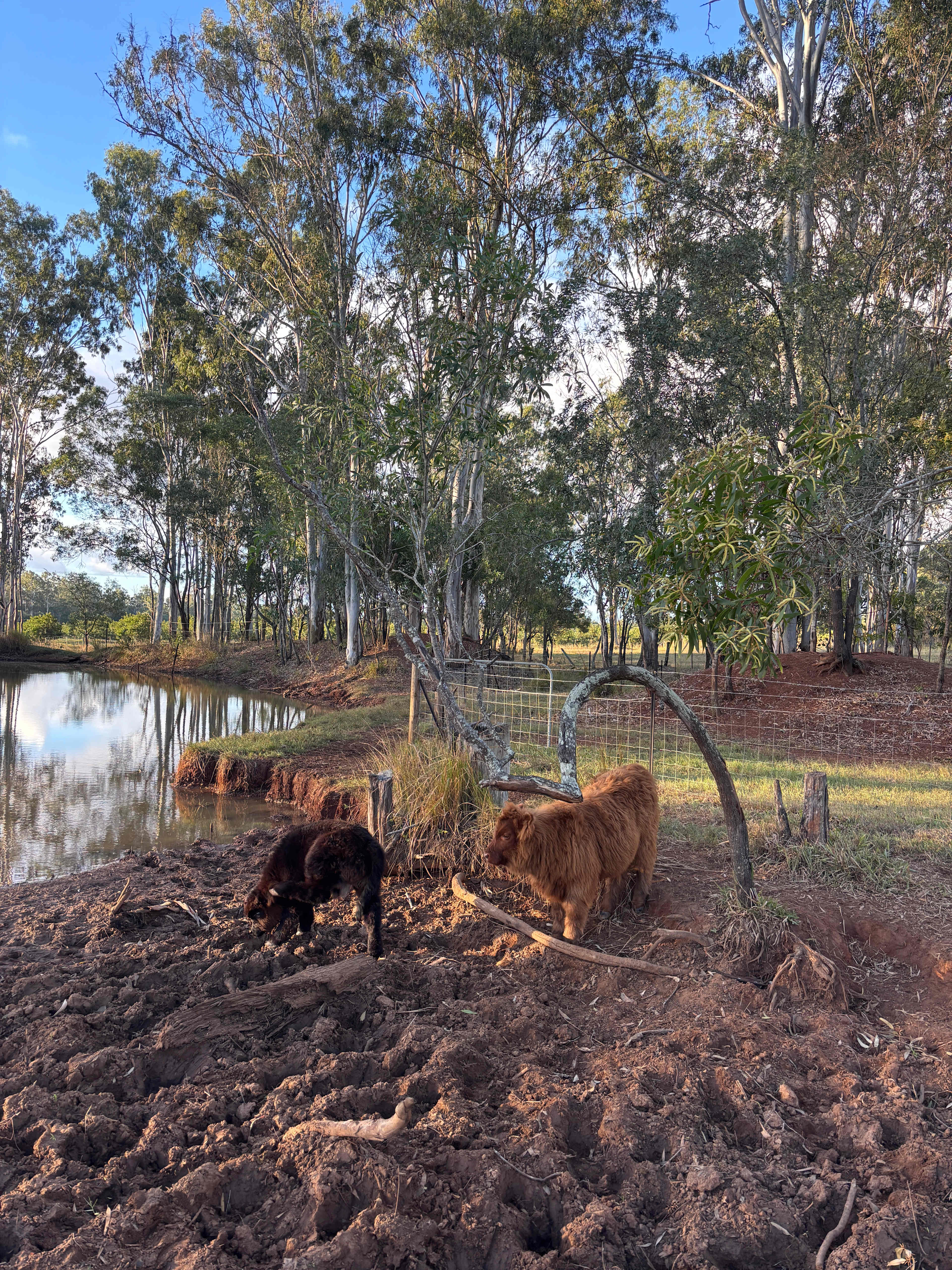 Gumtree Dam Highlands