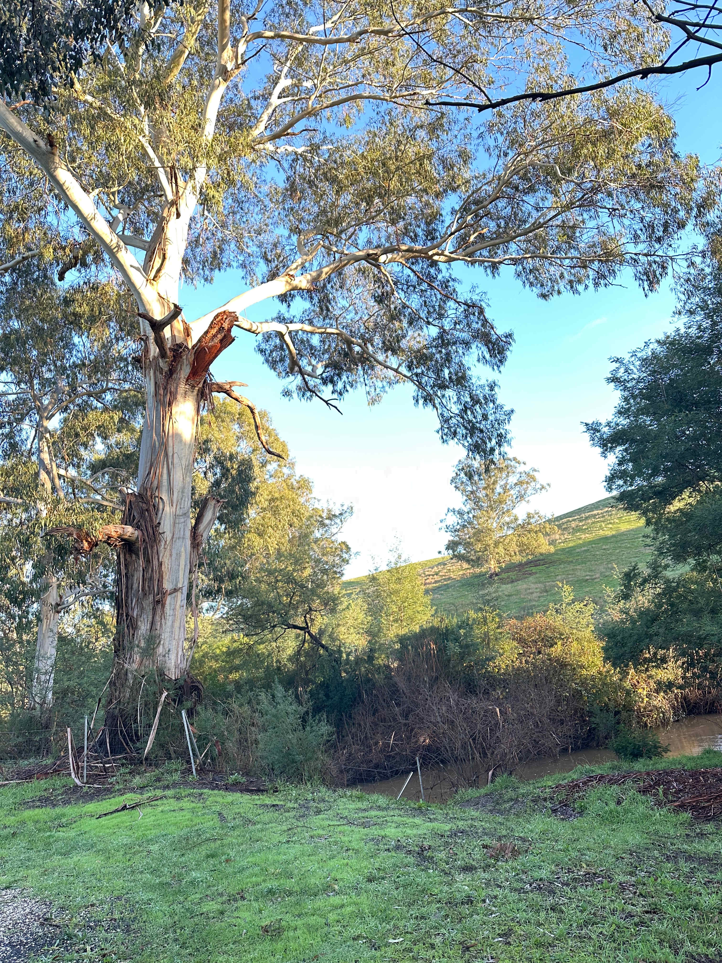 Strath Creek Station