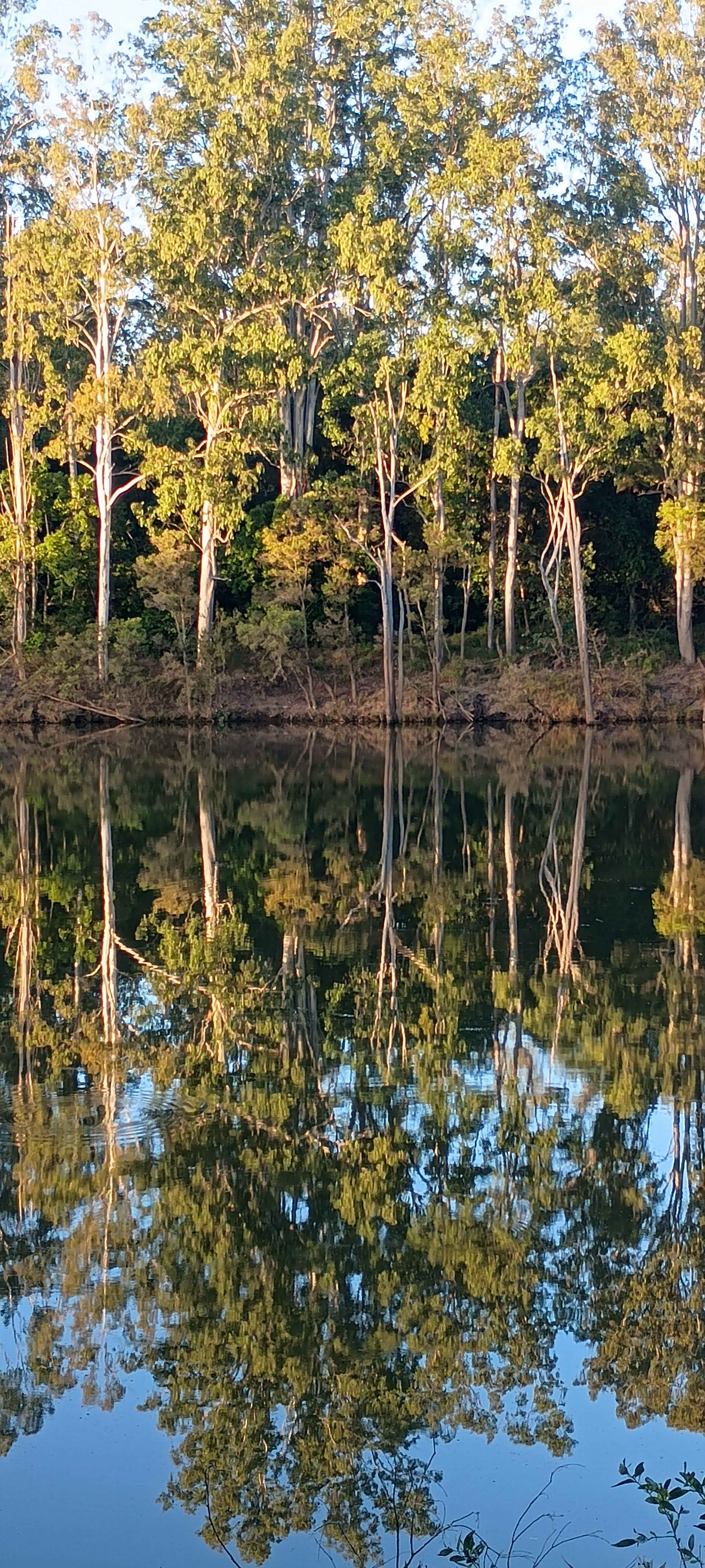 What a reflection 