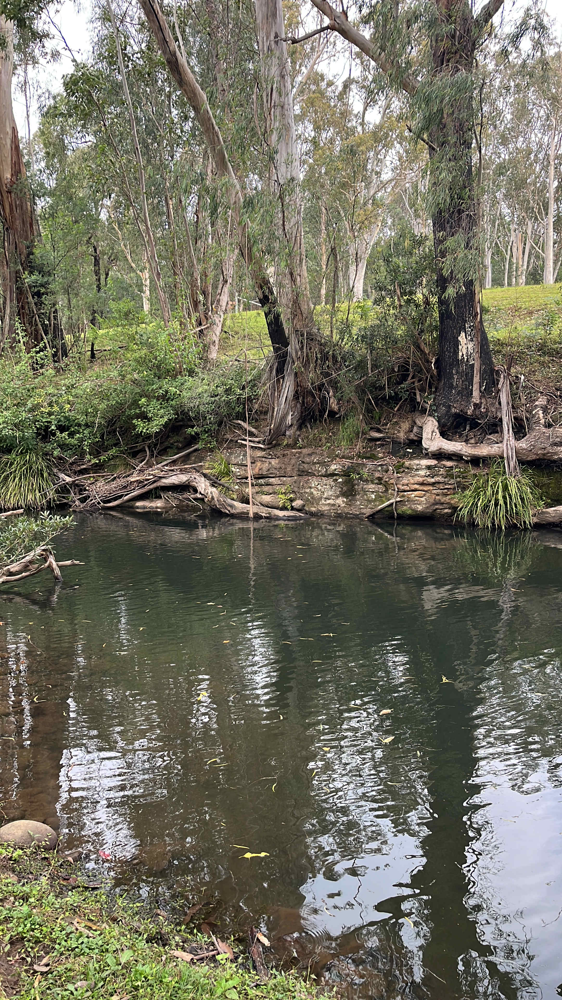 Swimming hole (short walk) 