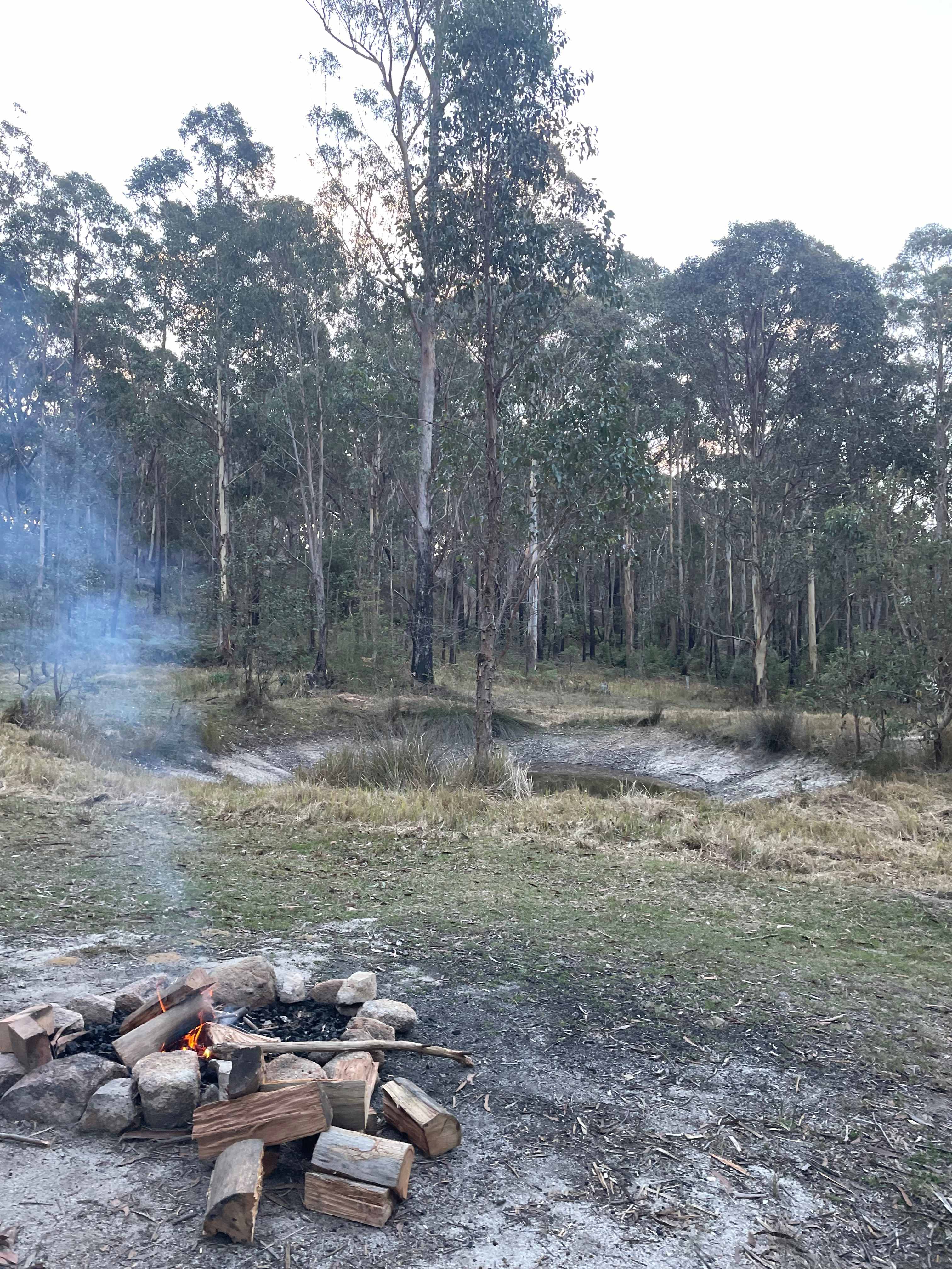 Bald Rock Station