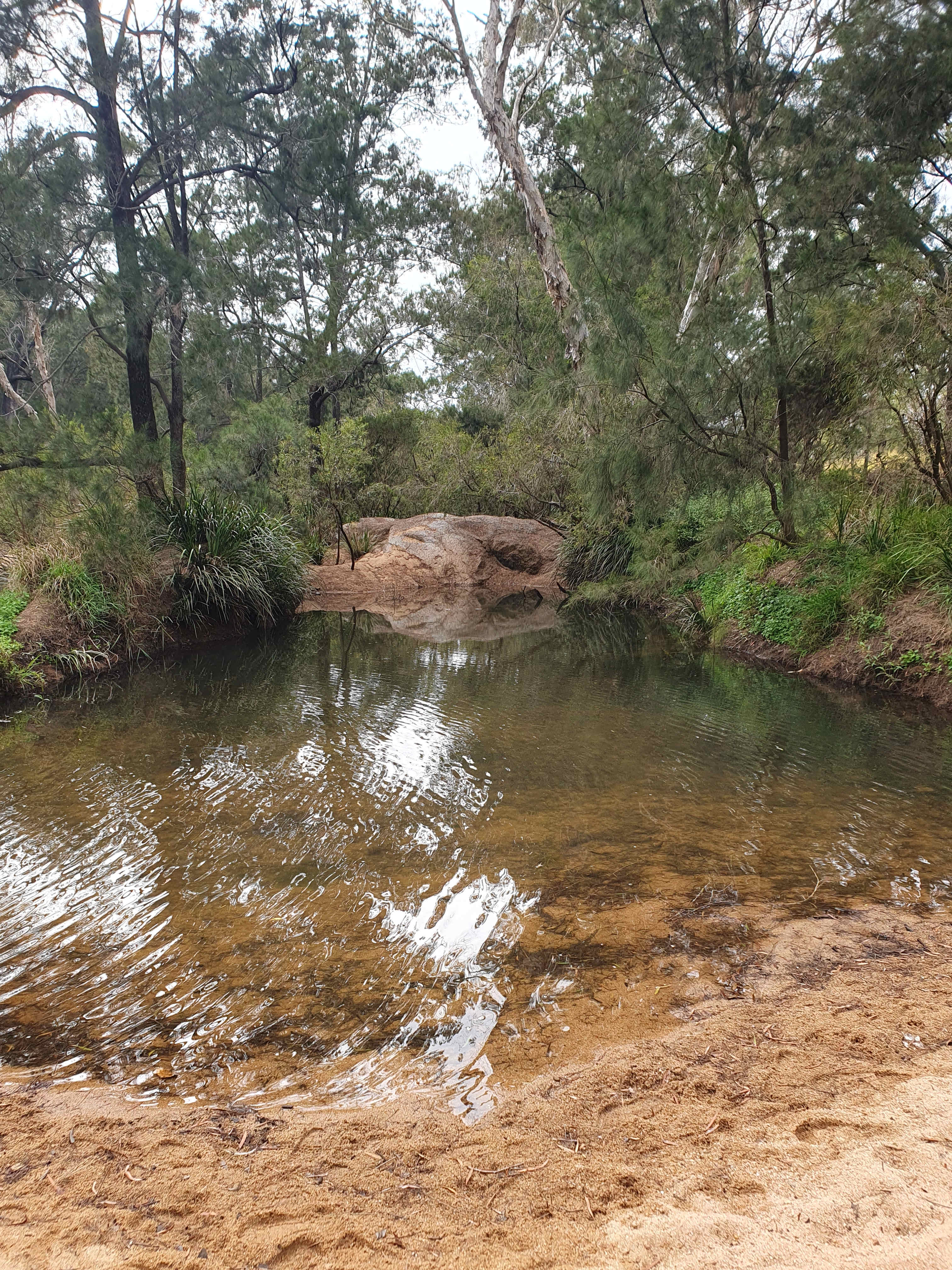 Archerview Farmstay-Wild River Camp