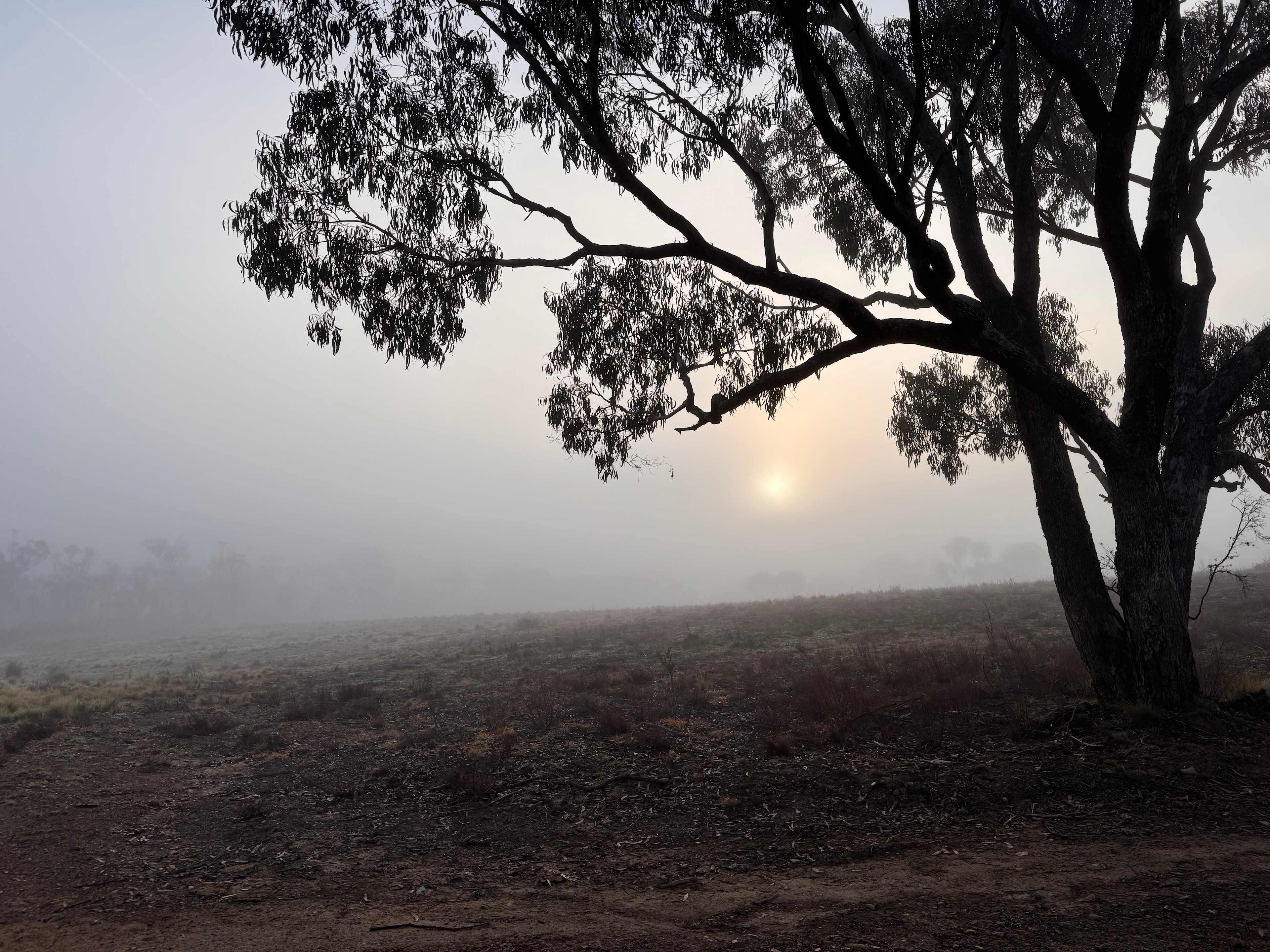 The Lodge at Tinneburra 