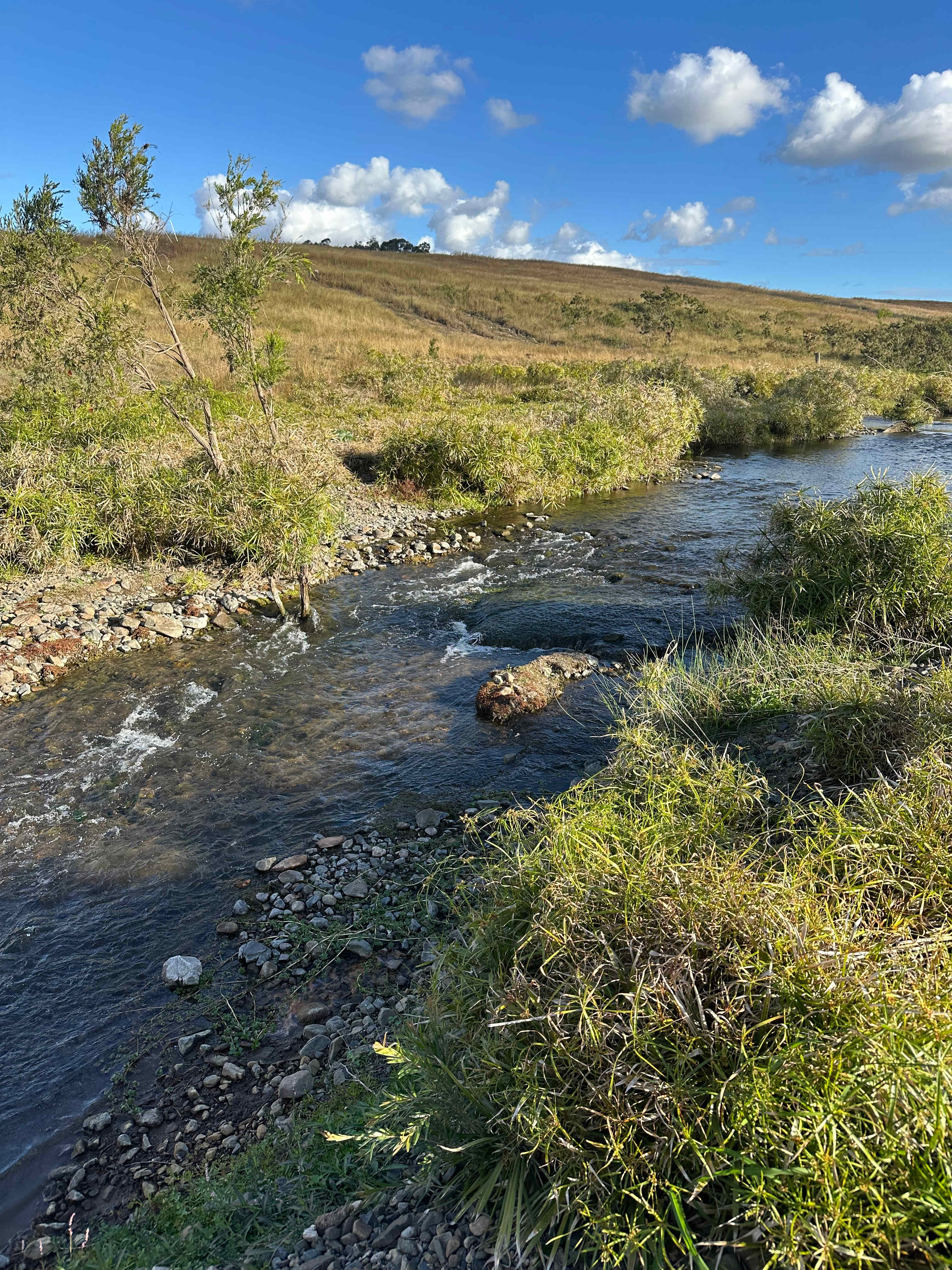 Down at the creek