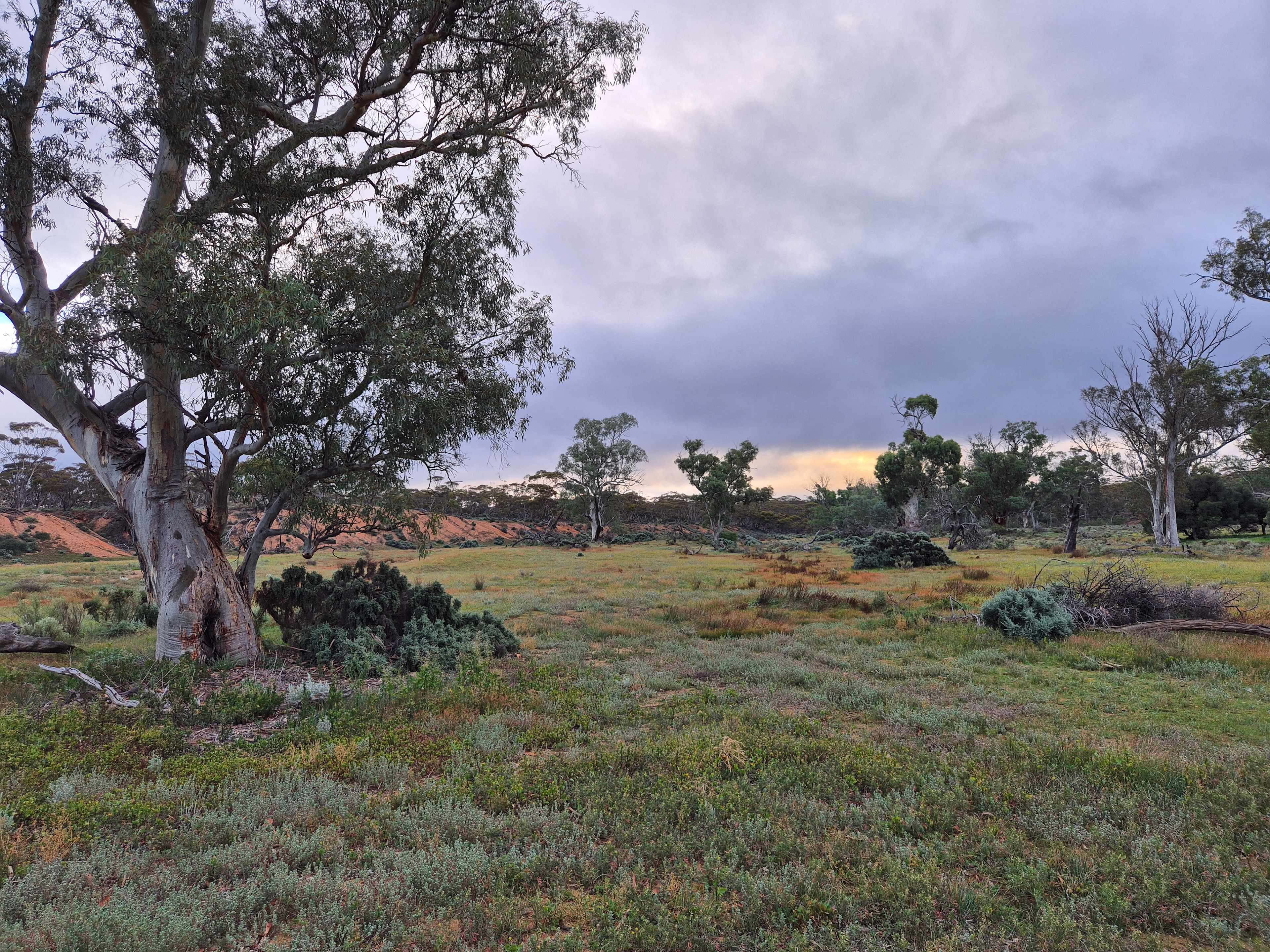 Burra Creek Camping