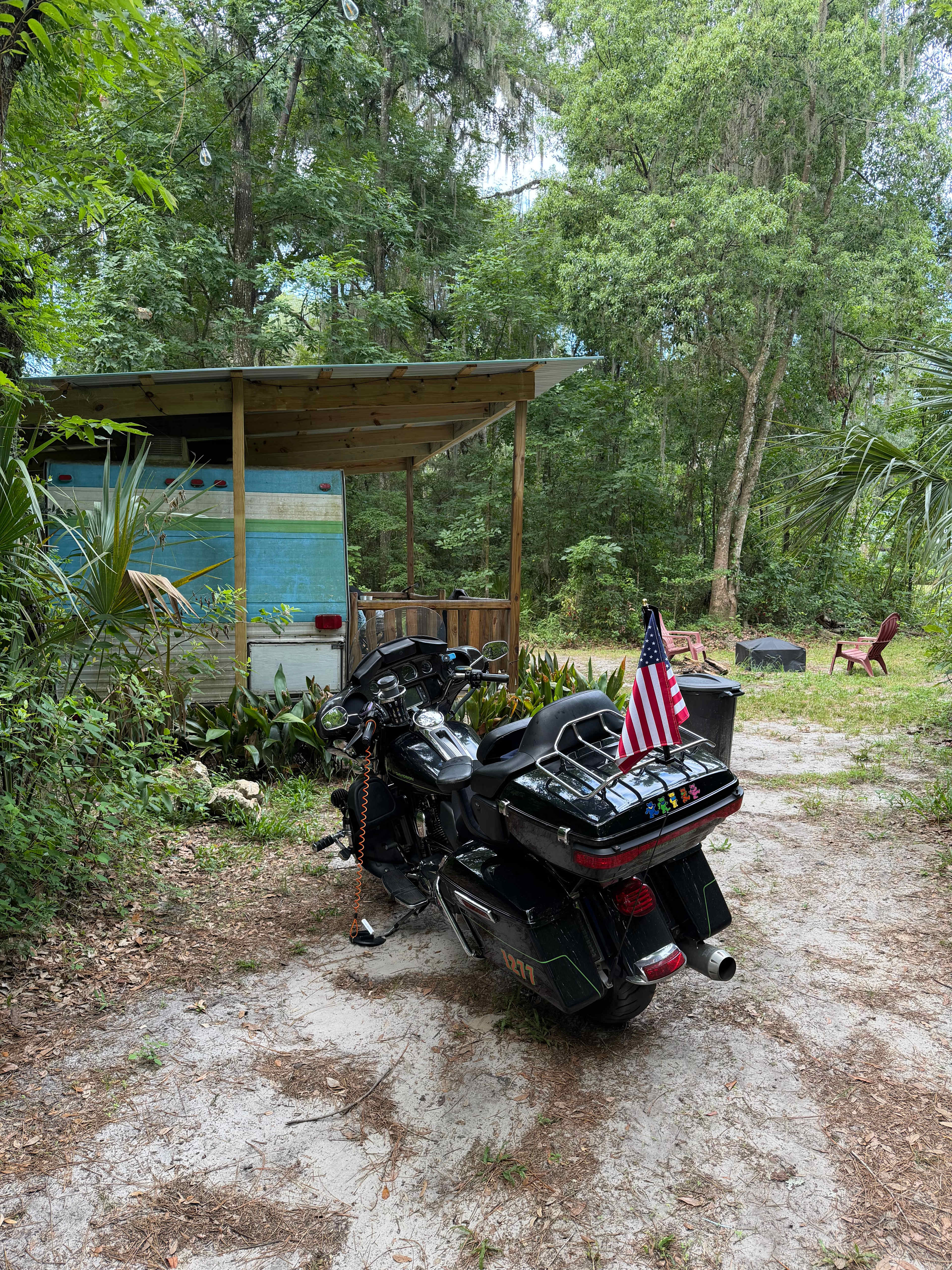 Picture of the site