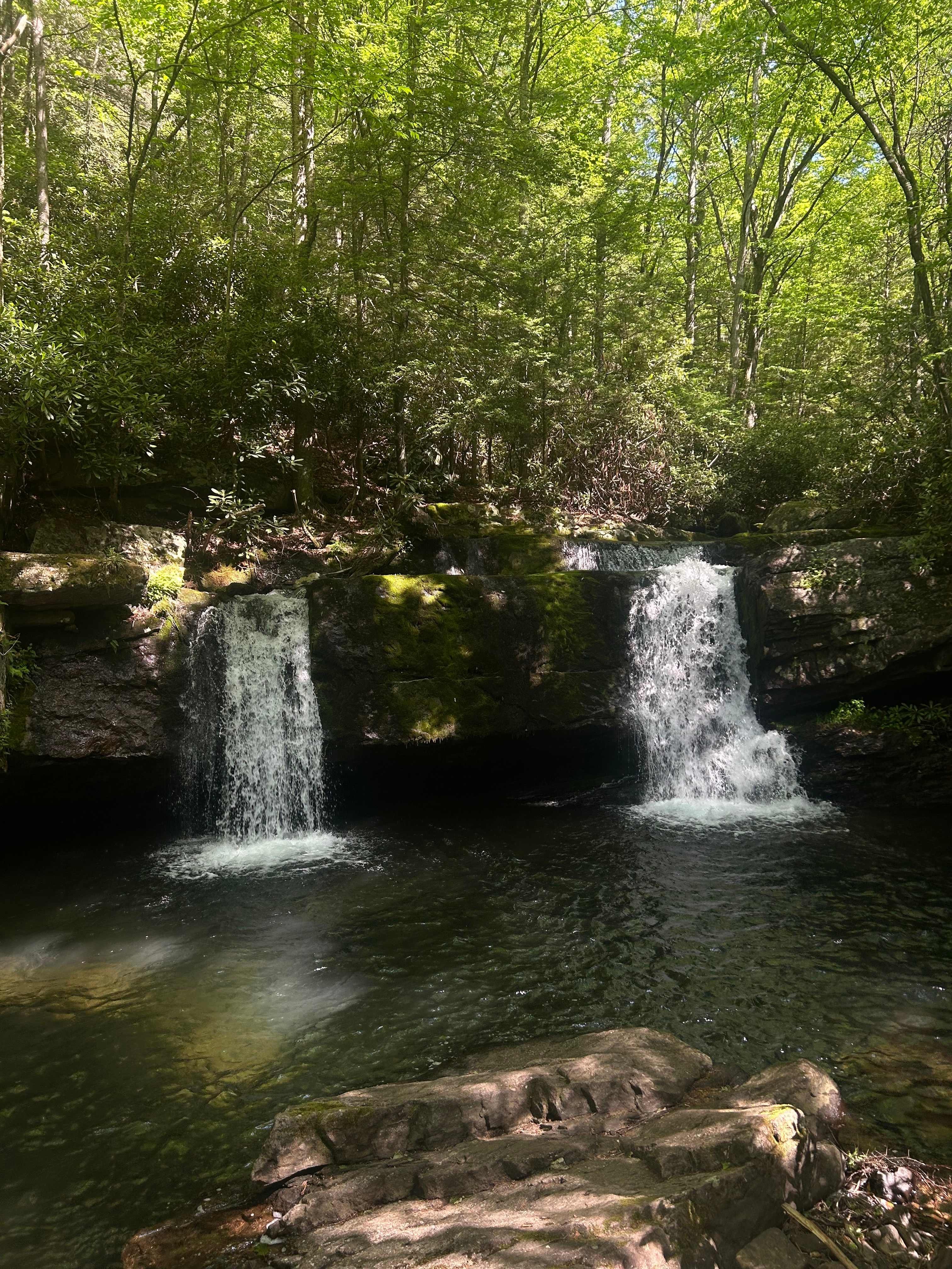 Camp Dietrich on Bear Creek