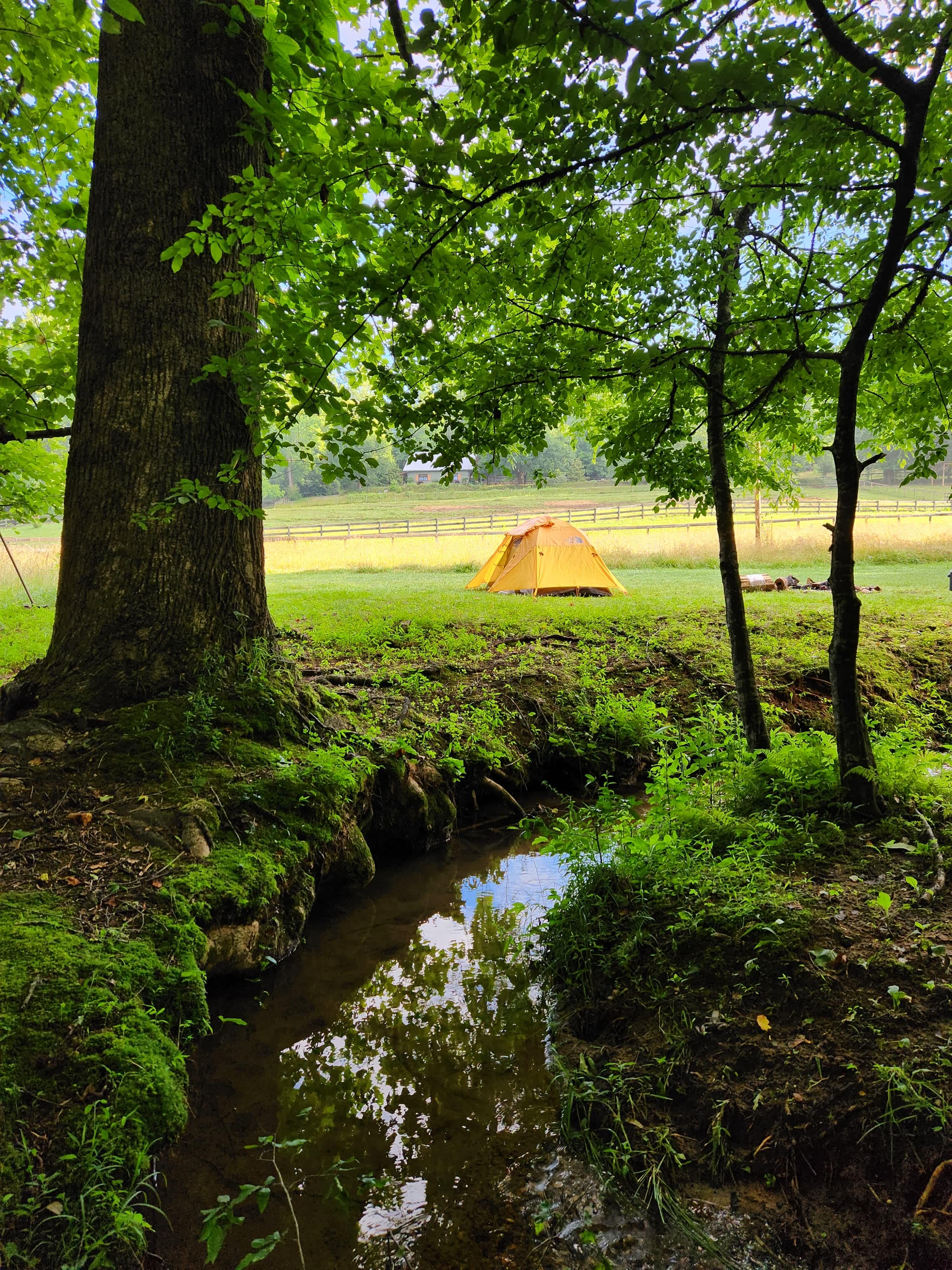 White Dog Farm camping