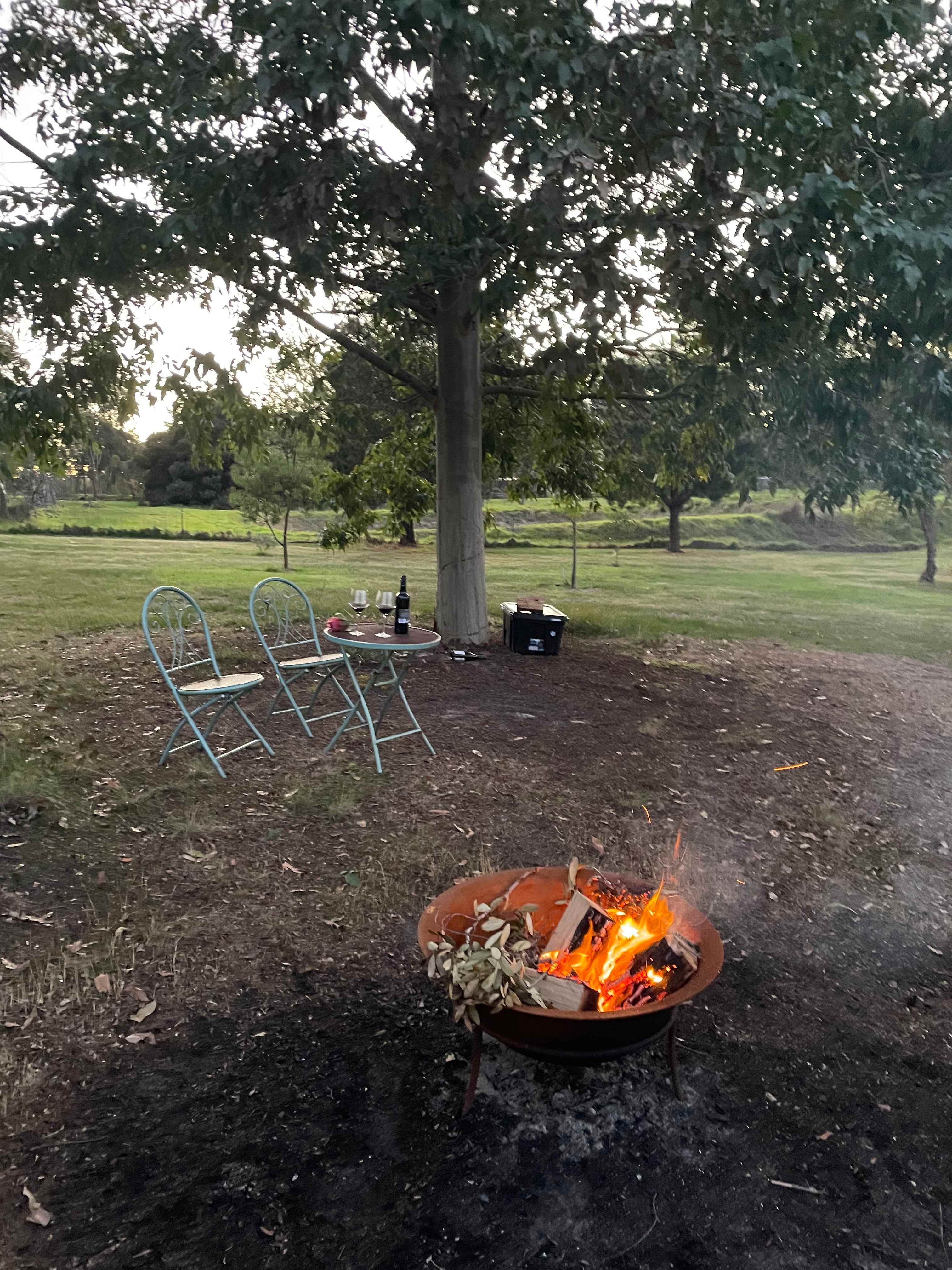 Picture of the site