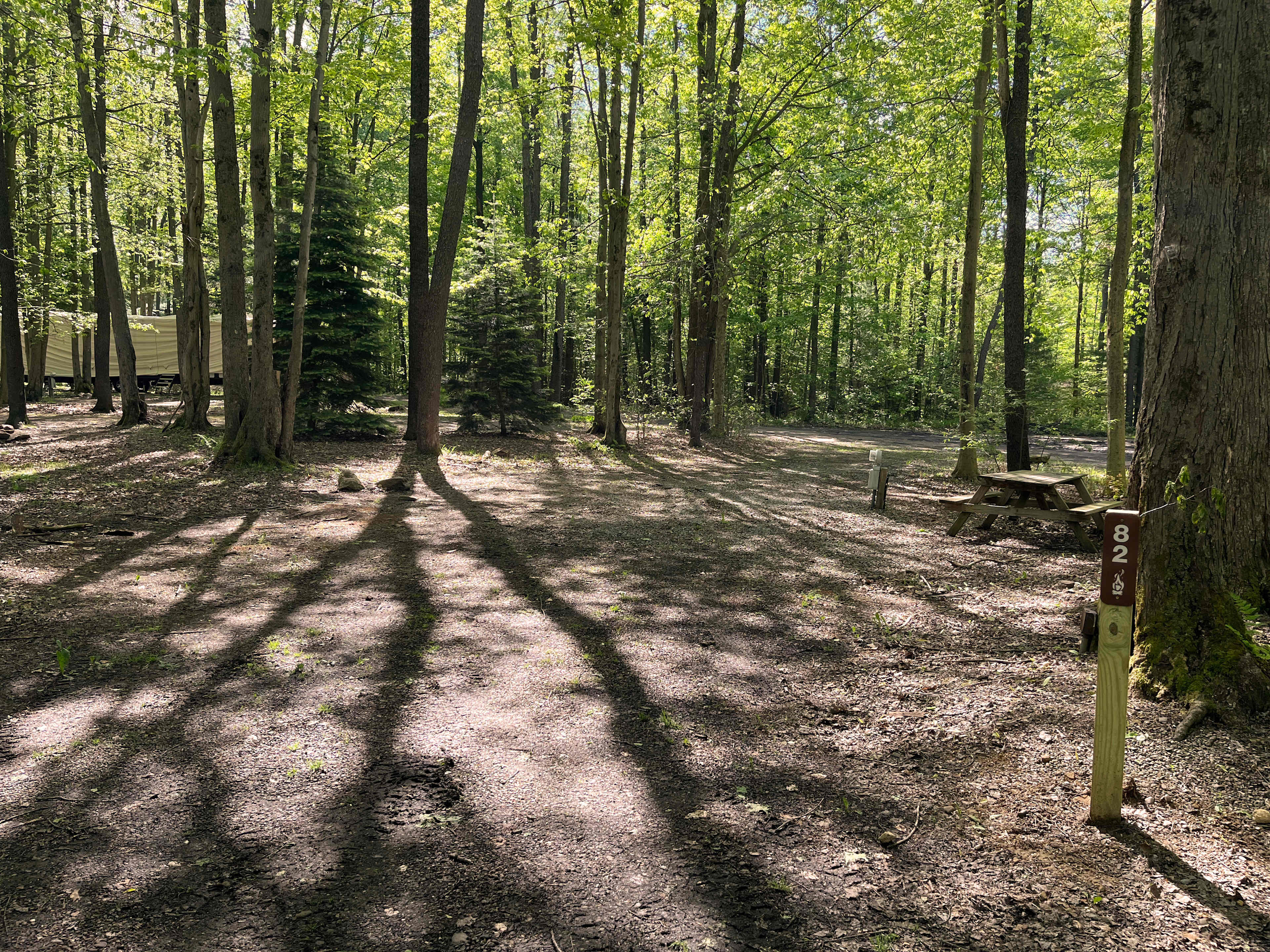 Picture of the site