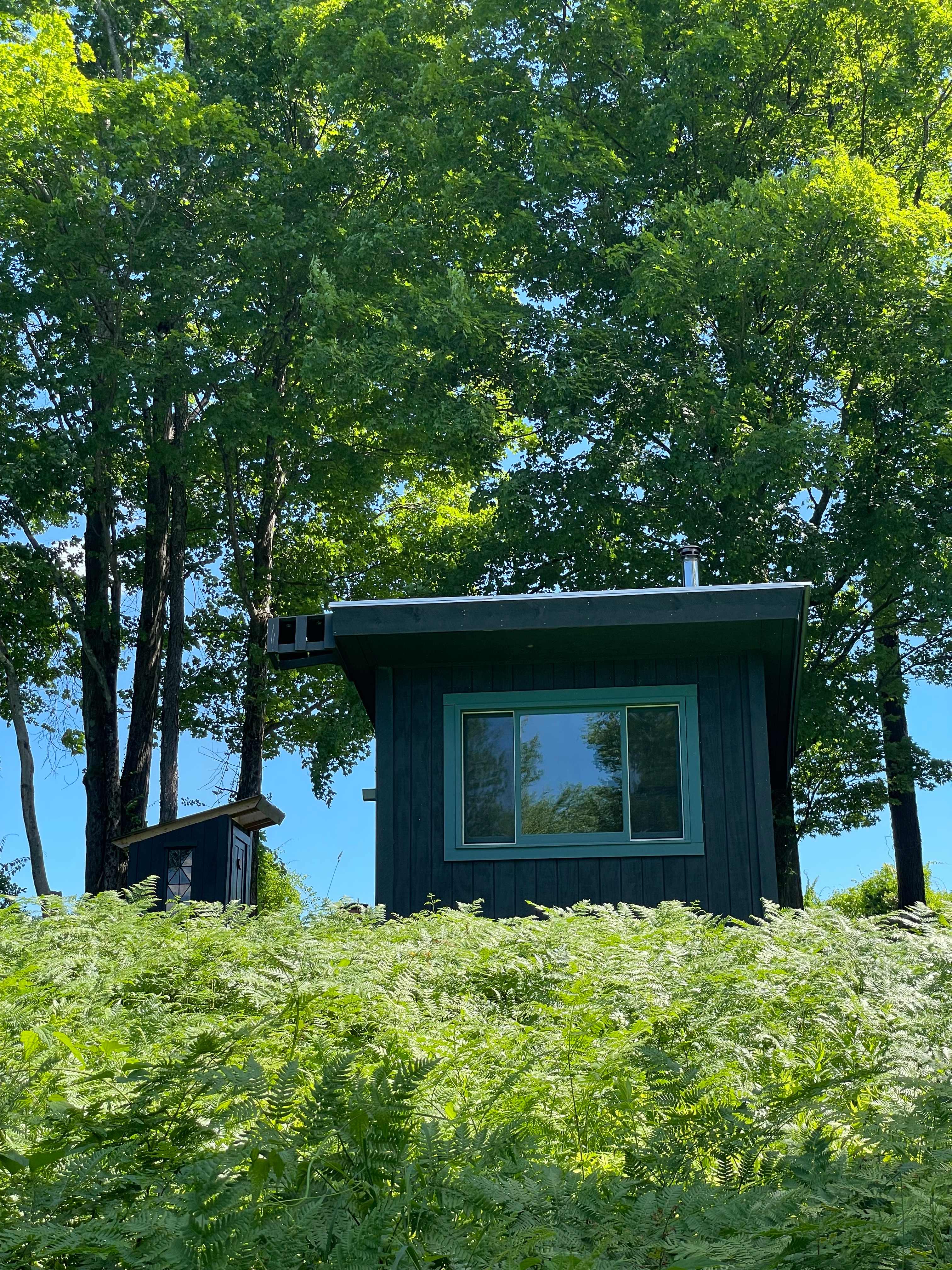 The Cabin