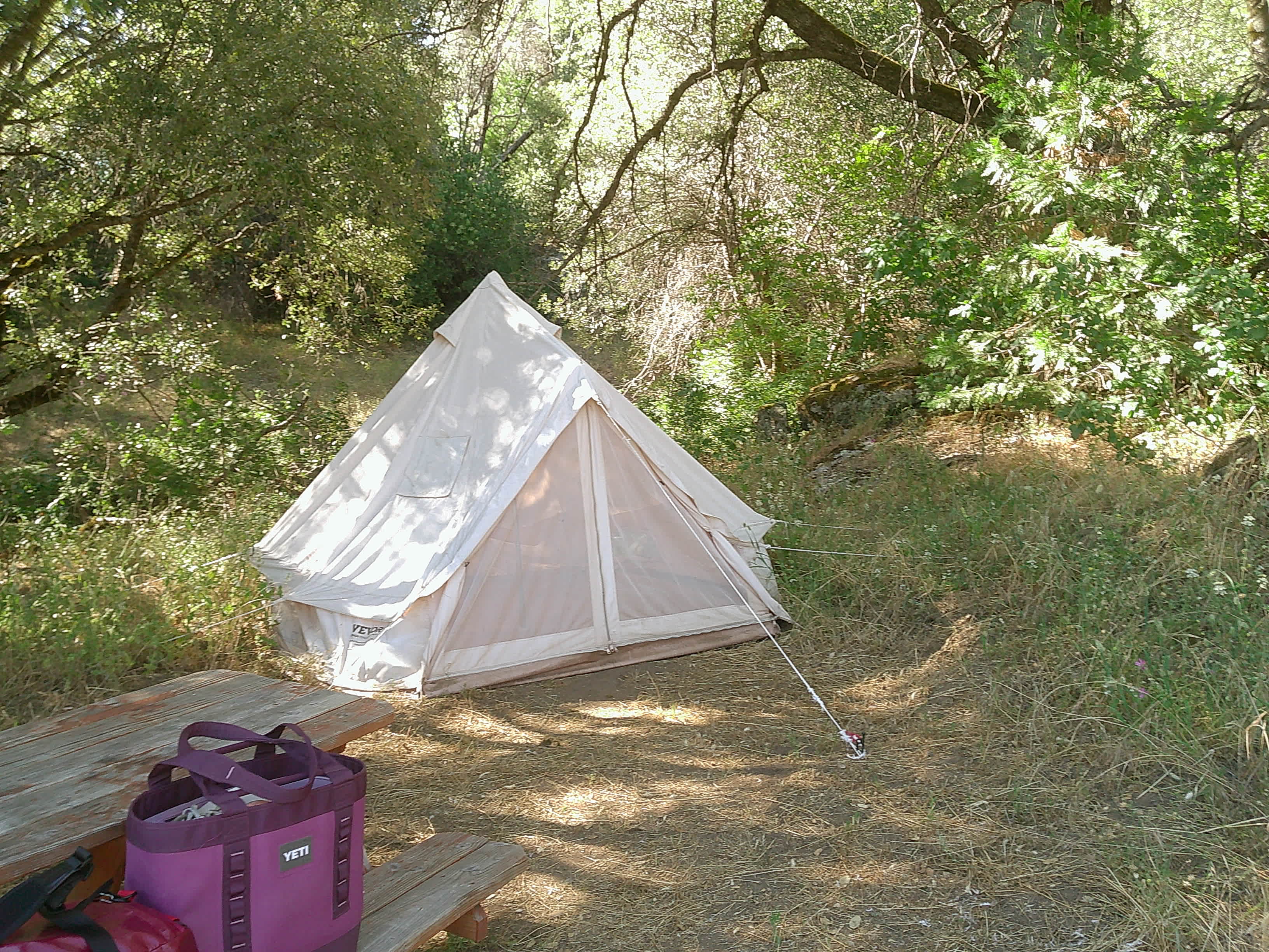 Camp 🏕 Gold Dust Vineyard