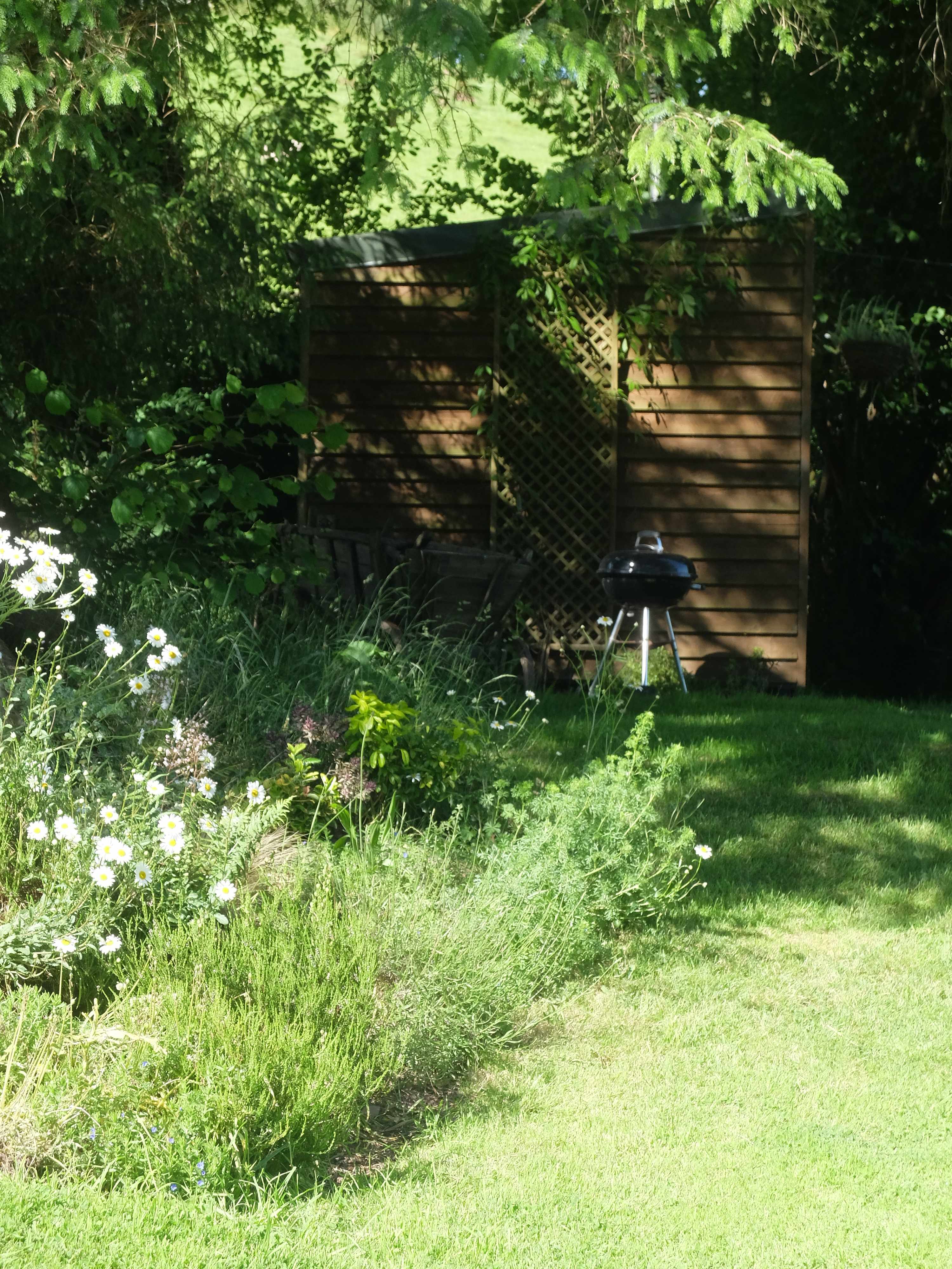 Ynysfaen Camping and Glamping