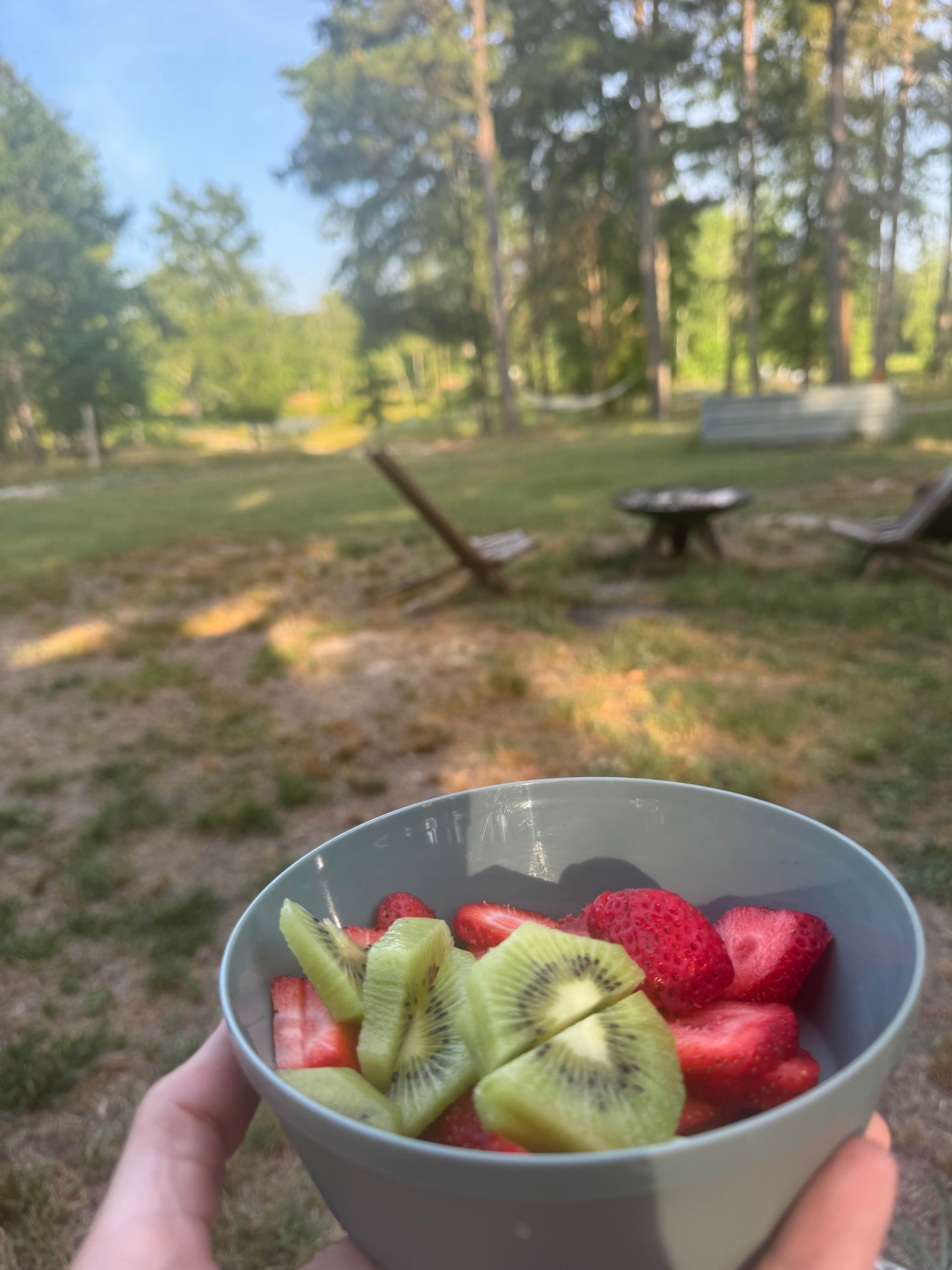 Breakfast with a view 