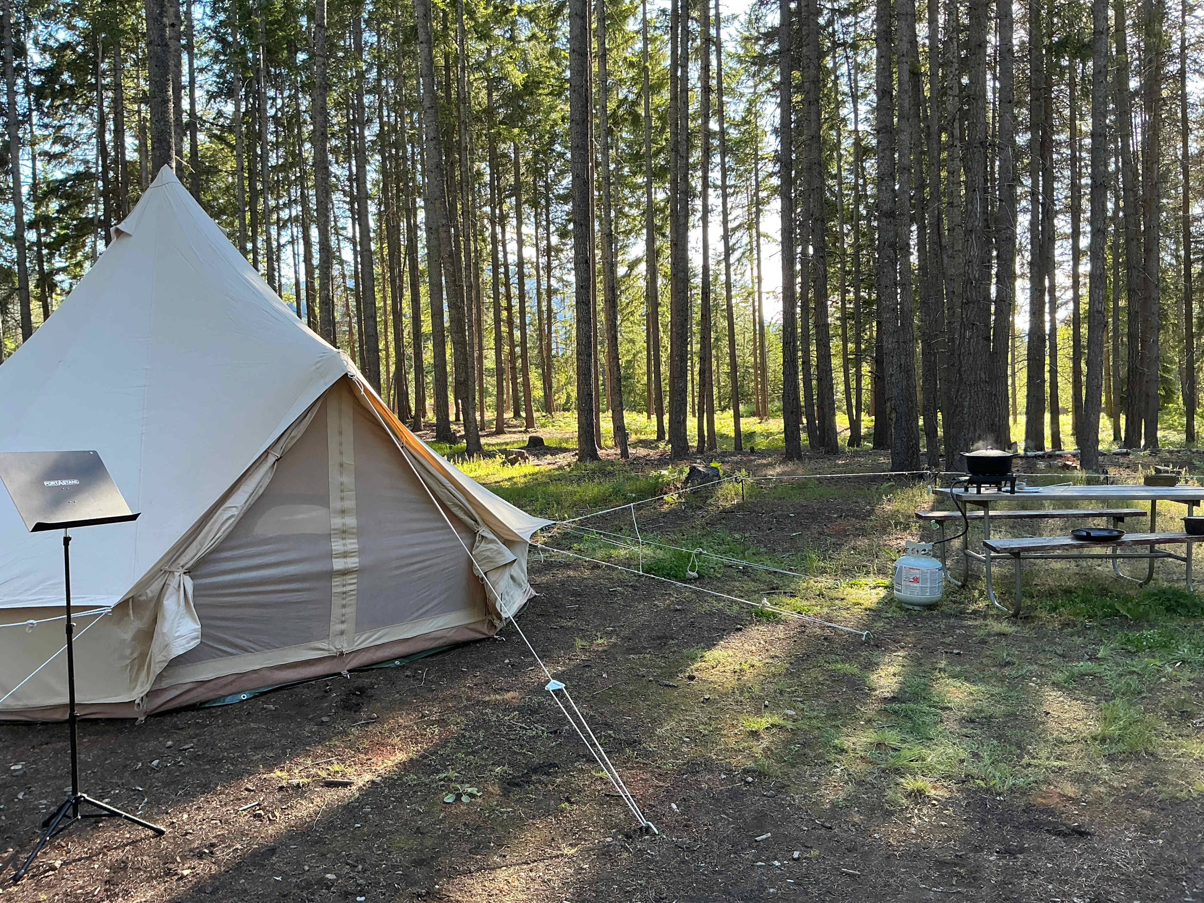Picture of the site