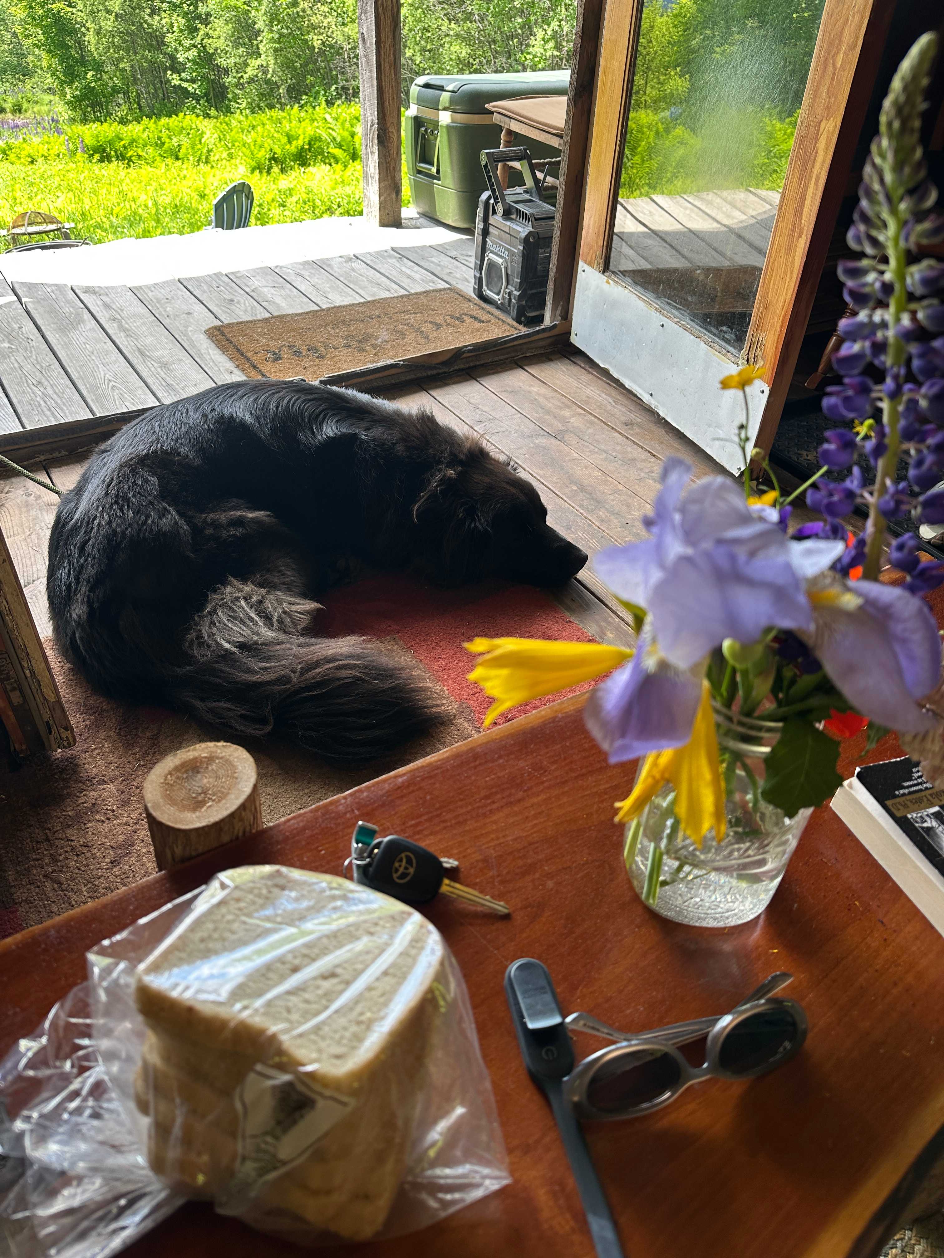 Nap time 