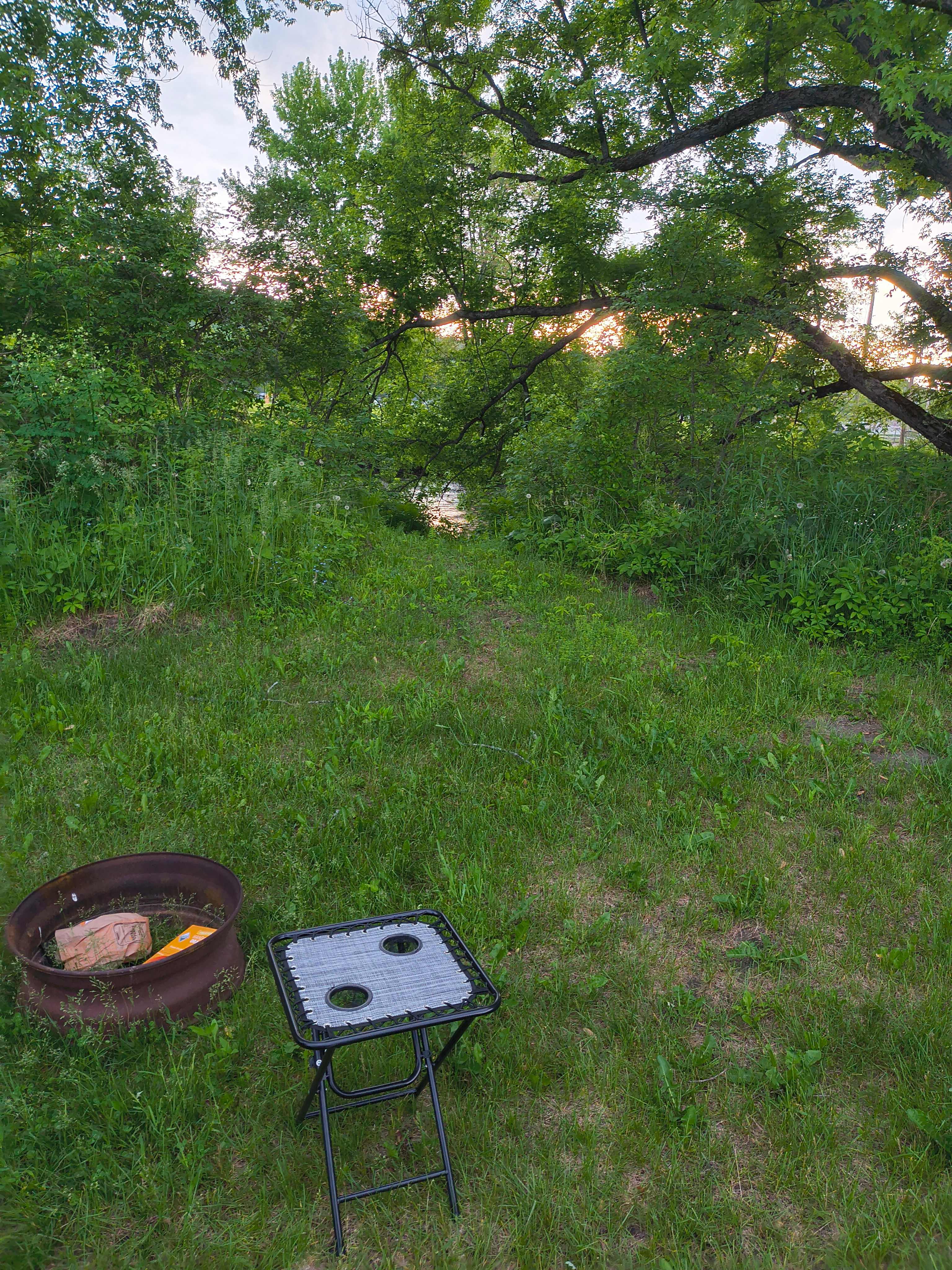 Picture of the site