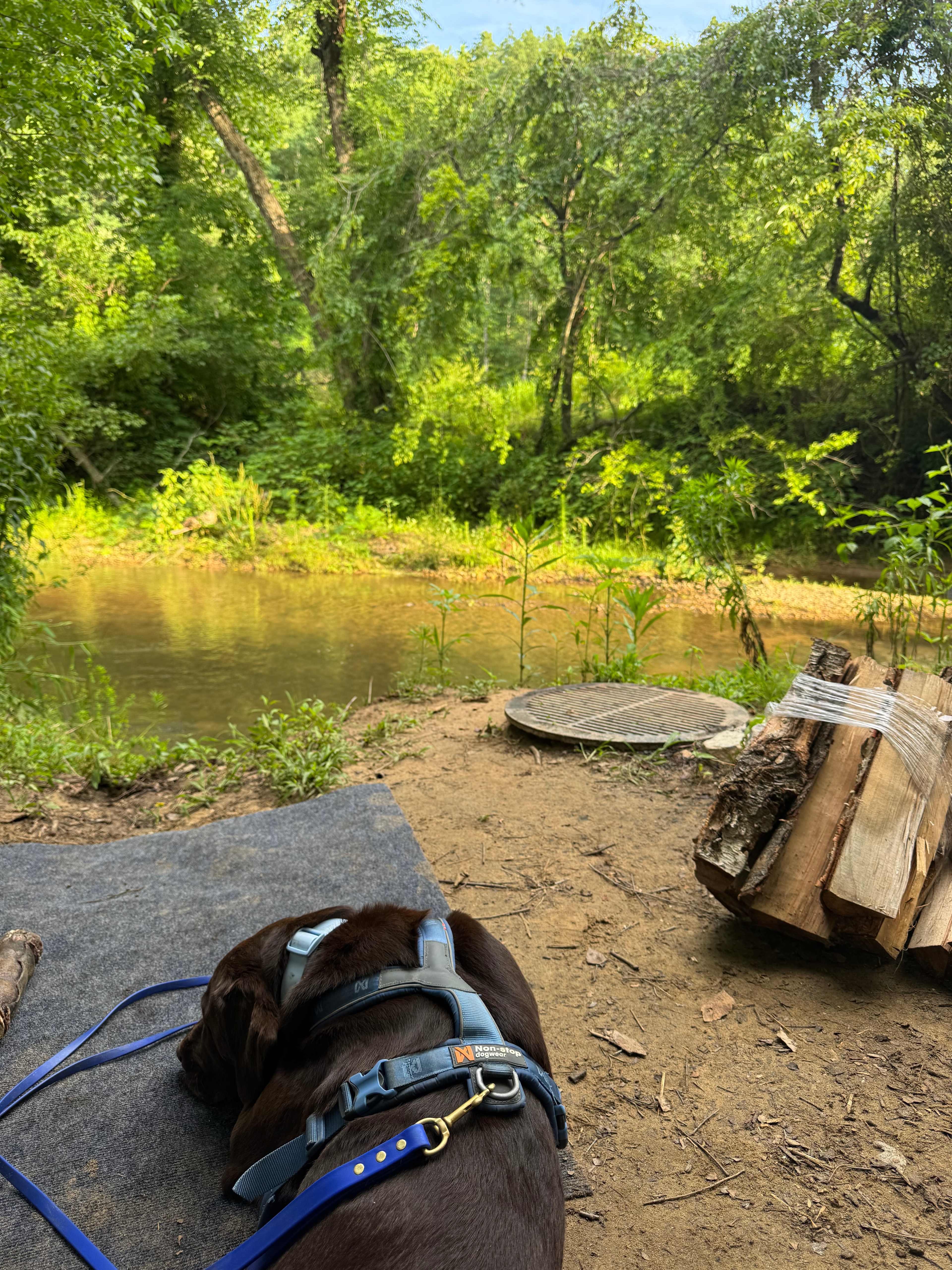 Broken Oak Riverside Getaway