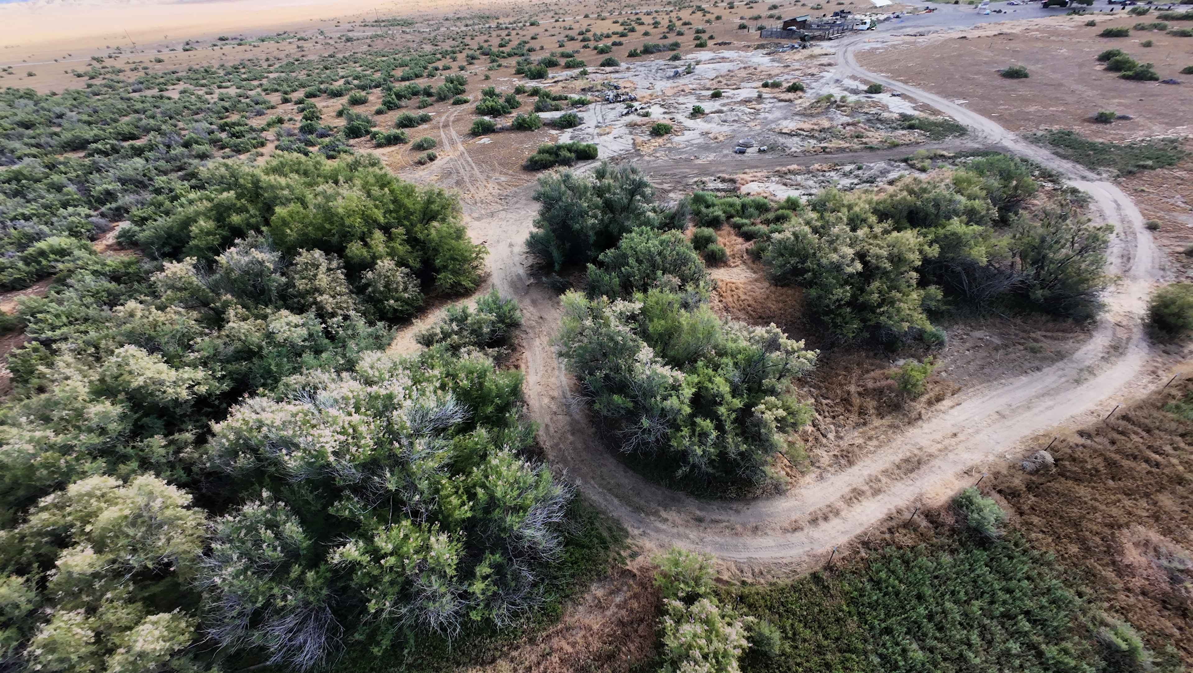 Tamarisk Grove Basecamp