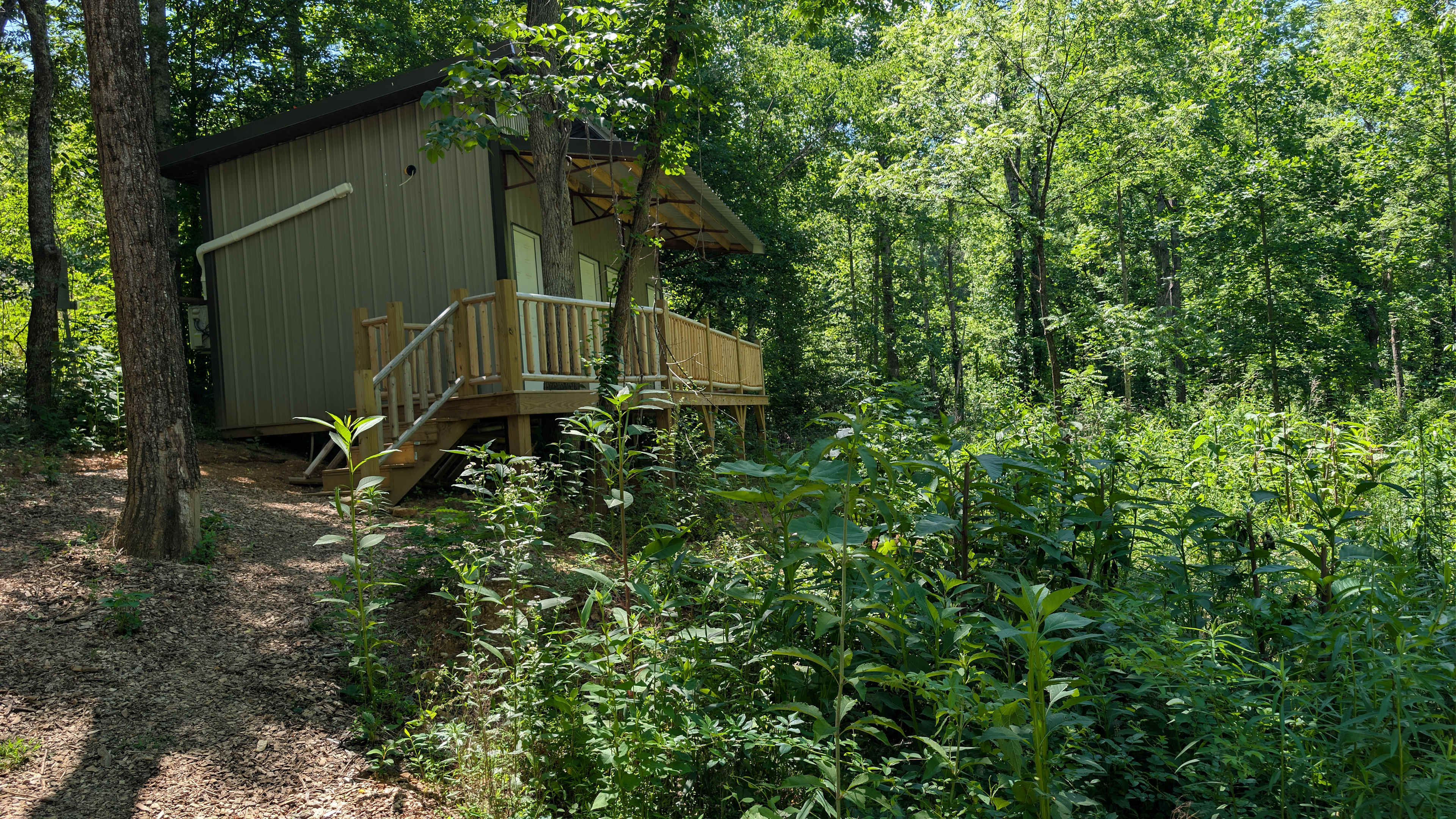 TangleWood Creekside Campsites