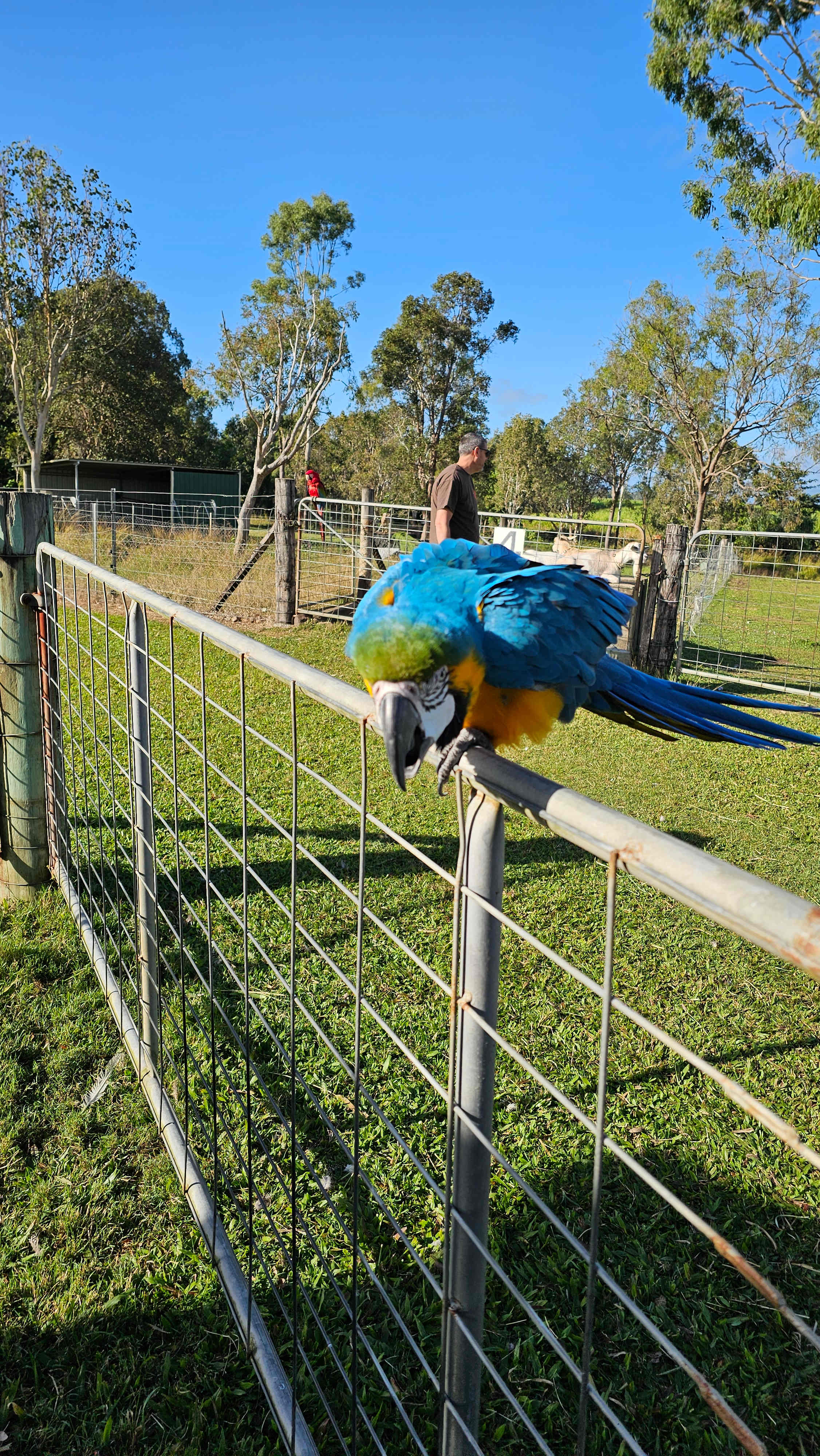 Jarravale Farm Stay