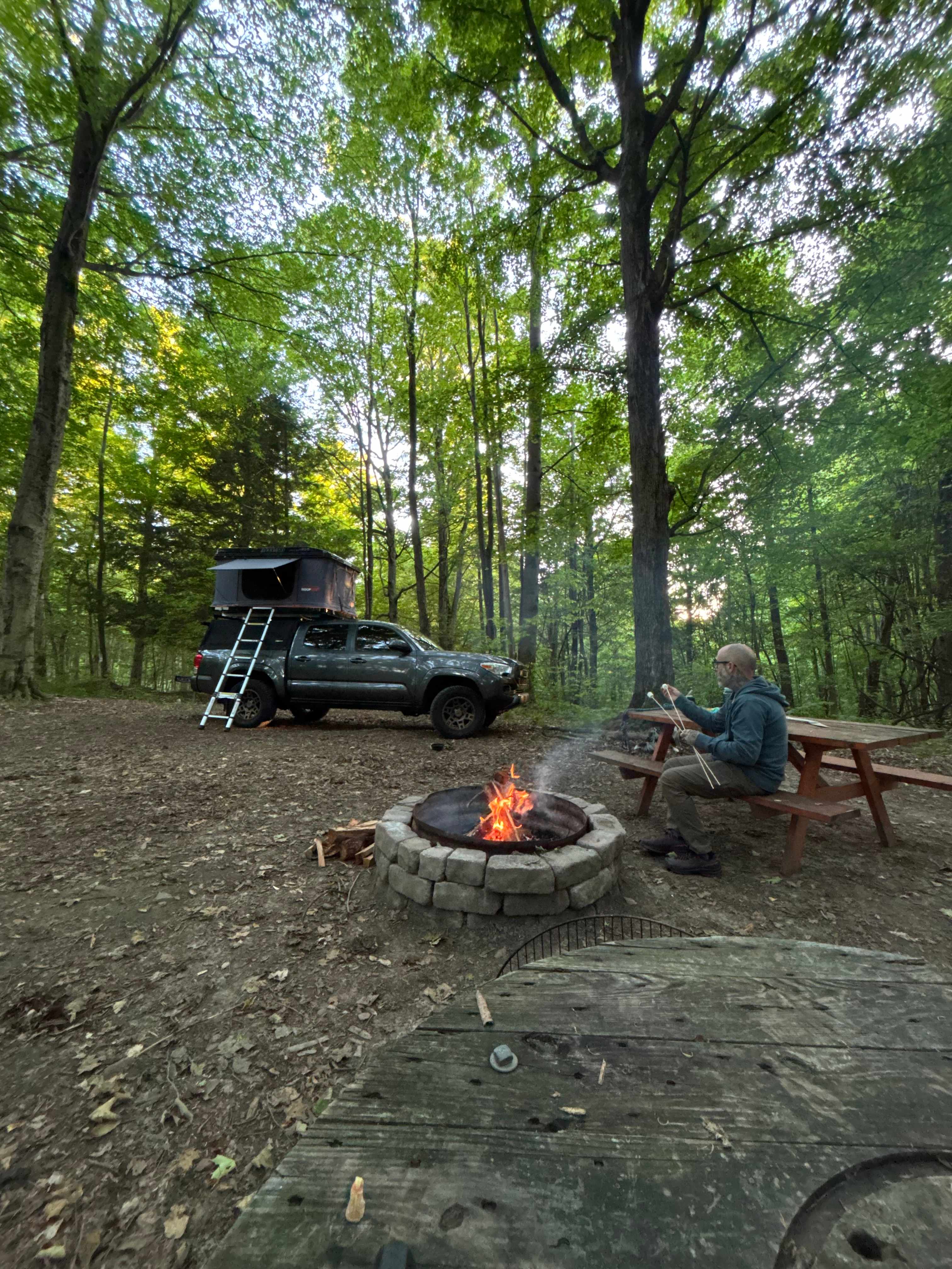 Zoar Valley Forest Retreat