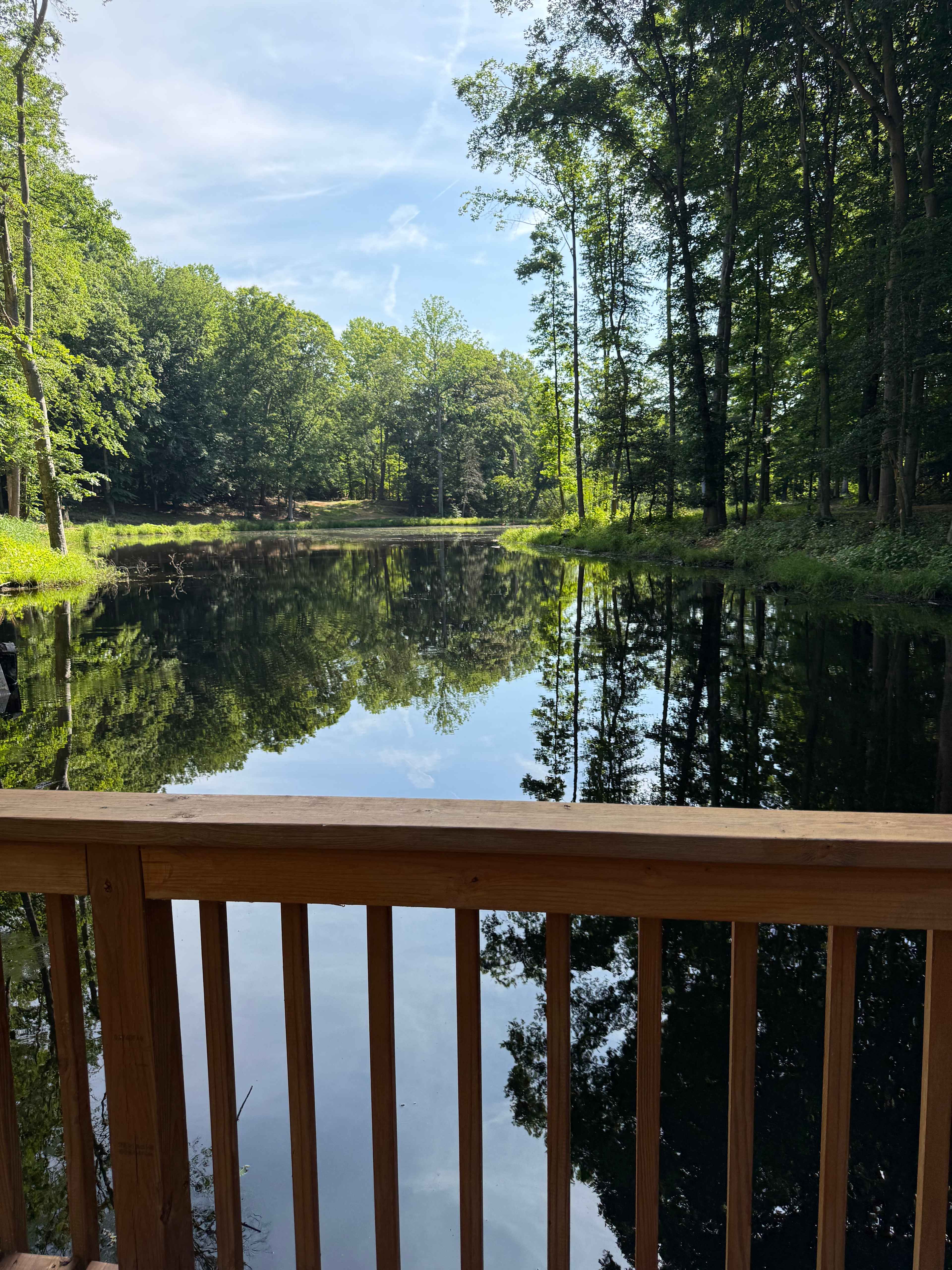 Perfect spot for morning coffee. 