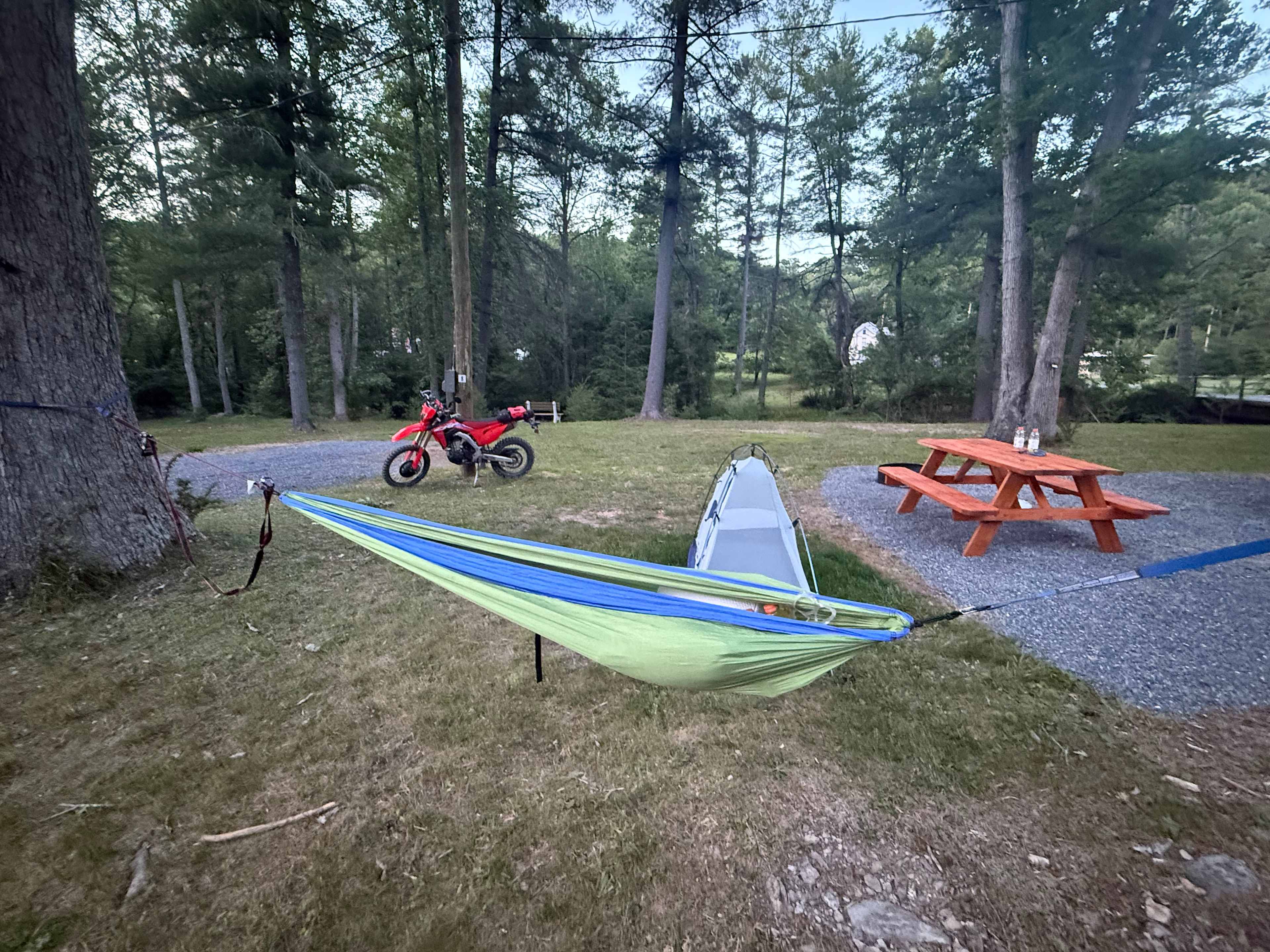 Picture of the site