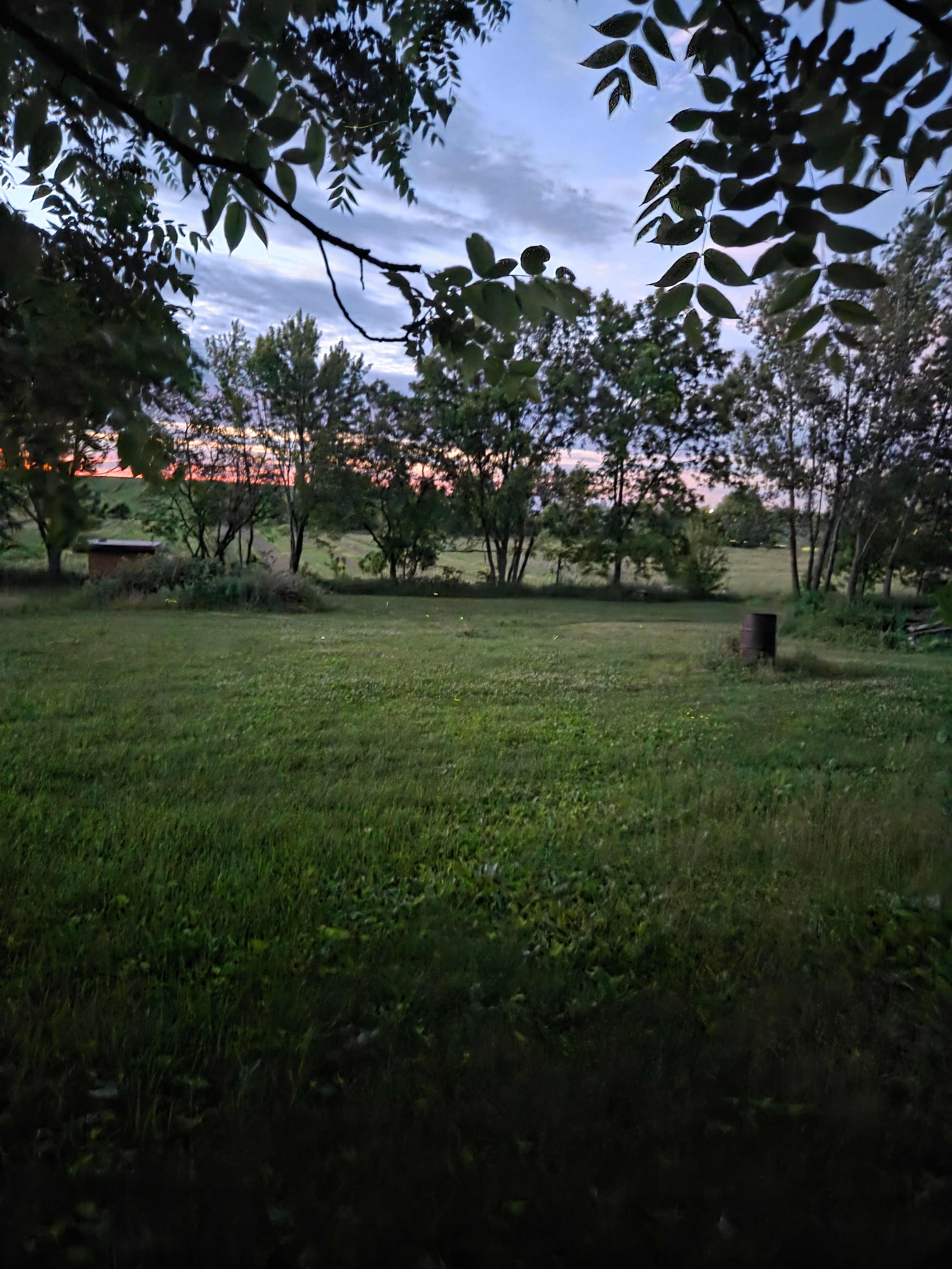 Terra Growers Organic Farm