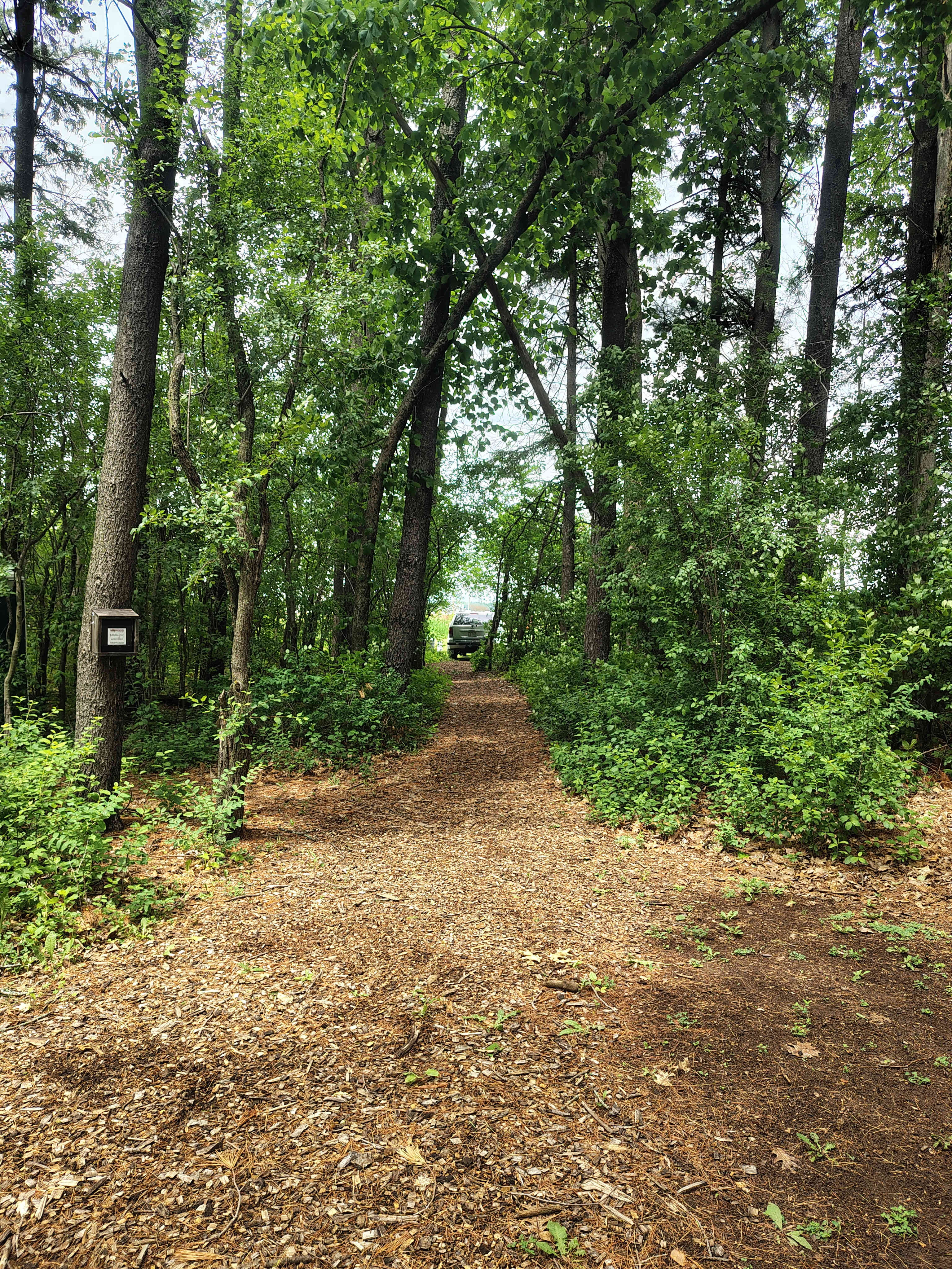 Waupaca River Retreat