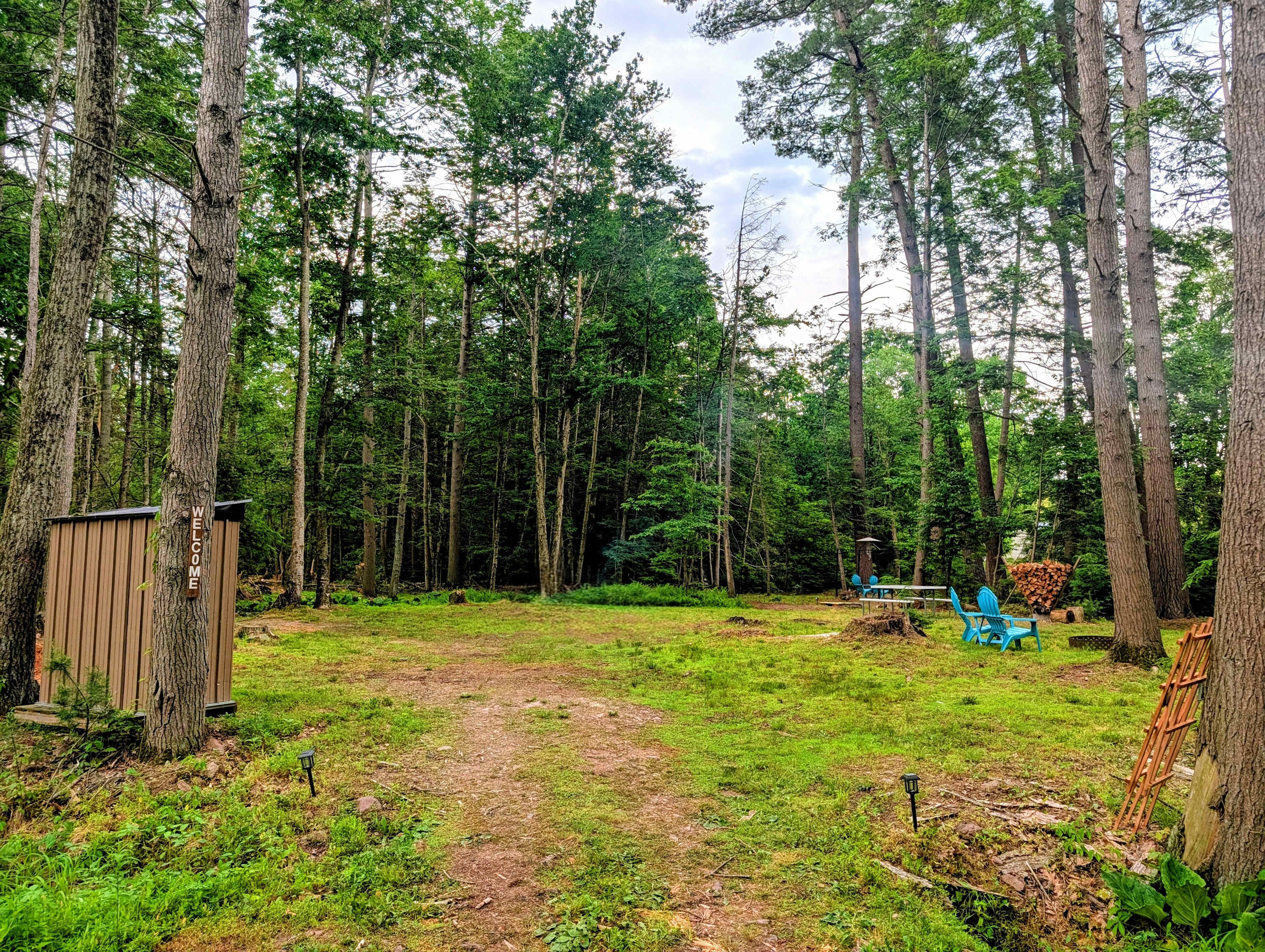 Picture of the site