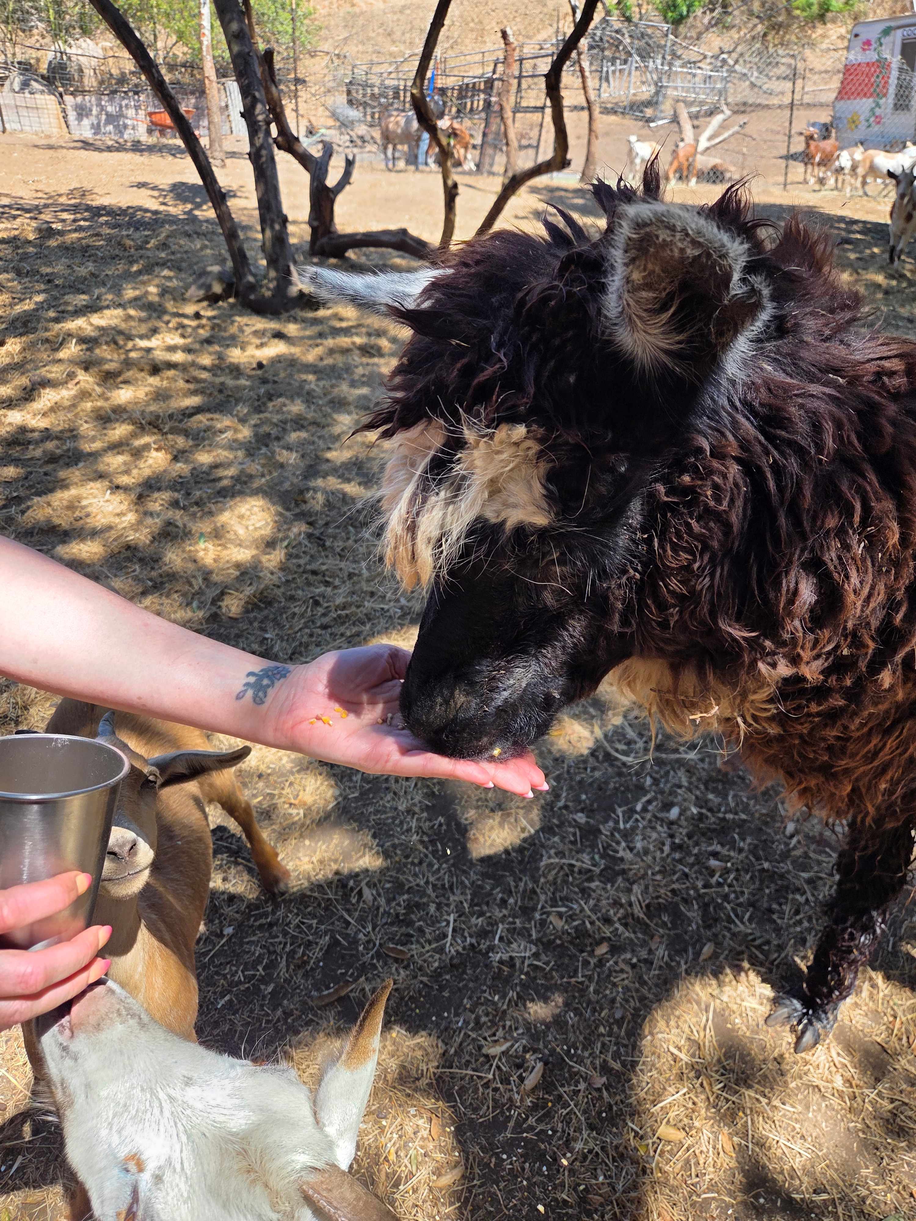 Splitrock Farm and Retreat