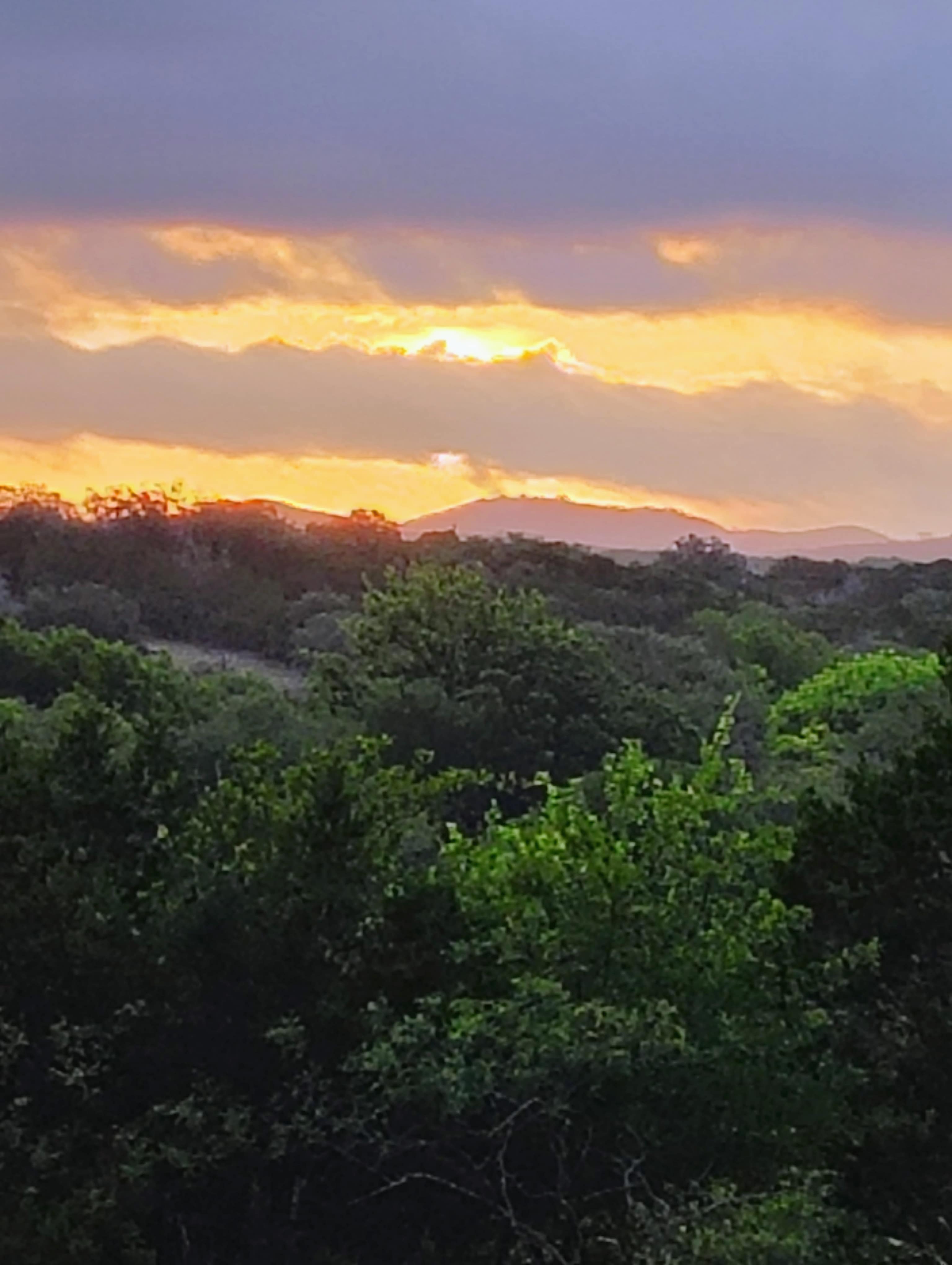 Sunrise 