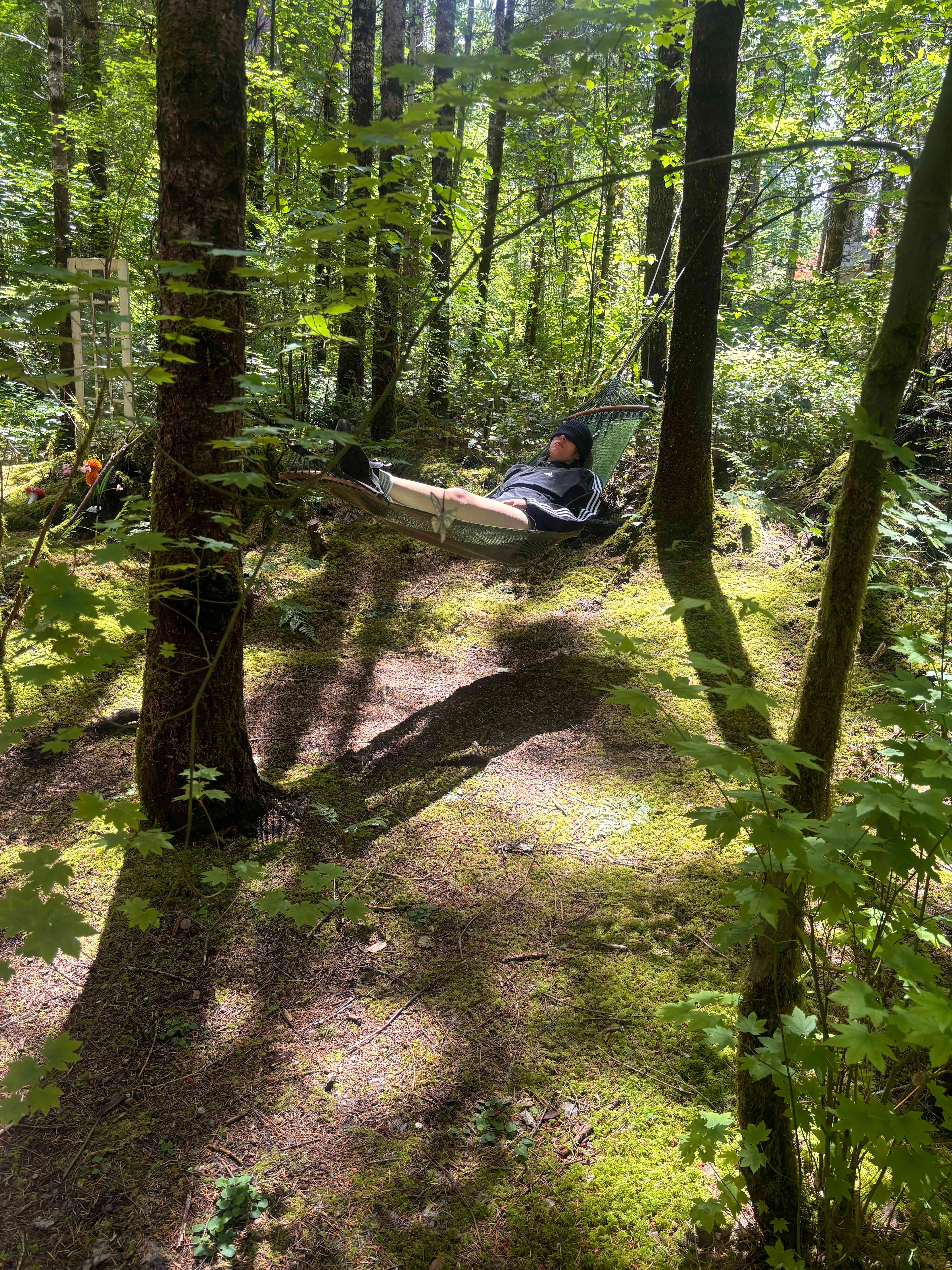 Hammocks included