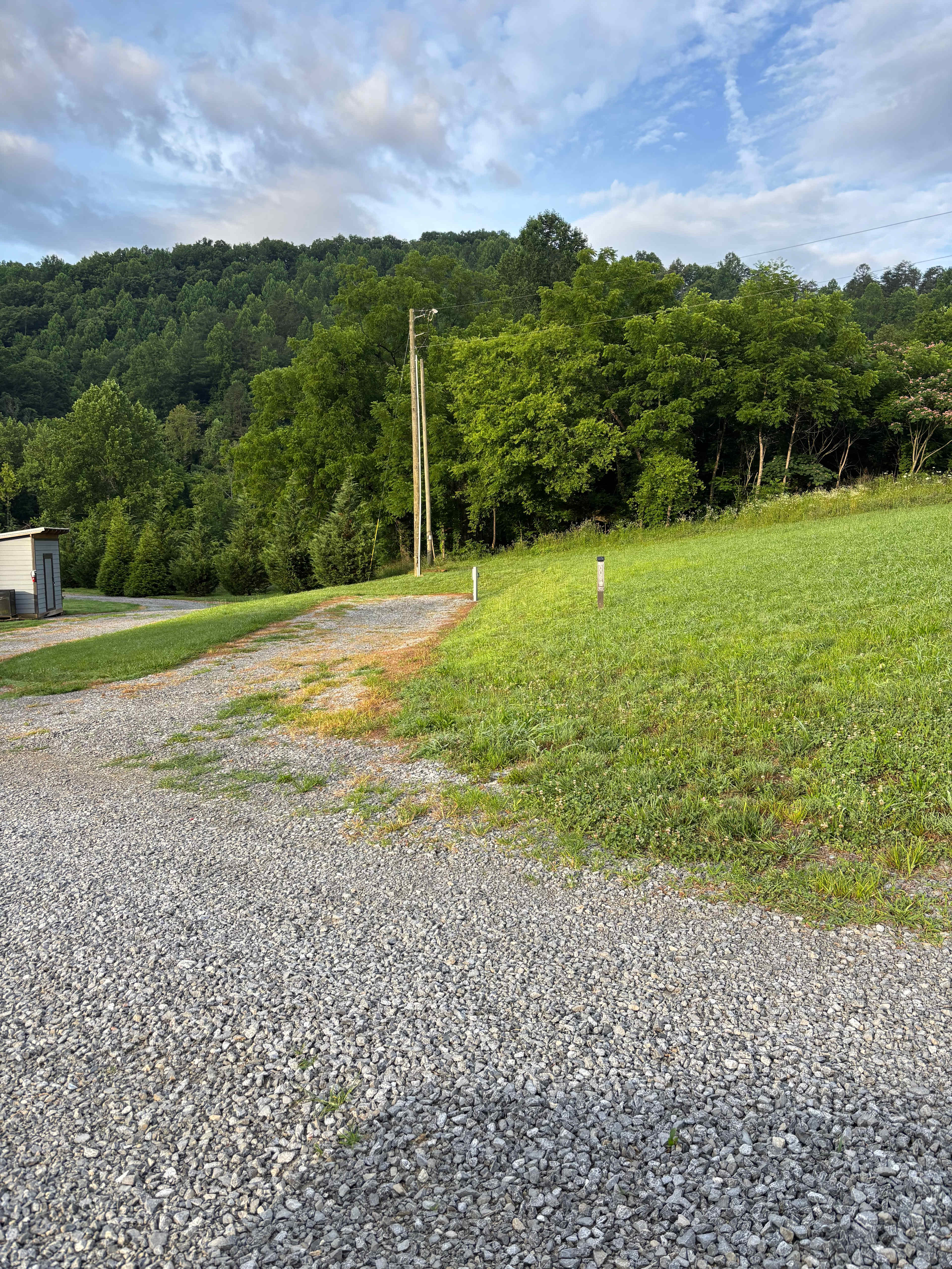 Site 6