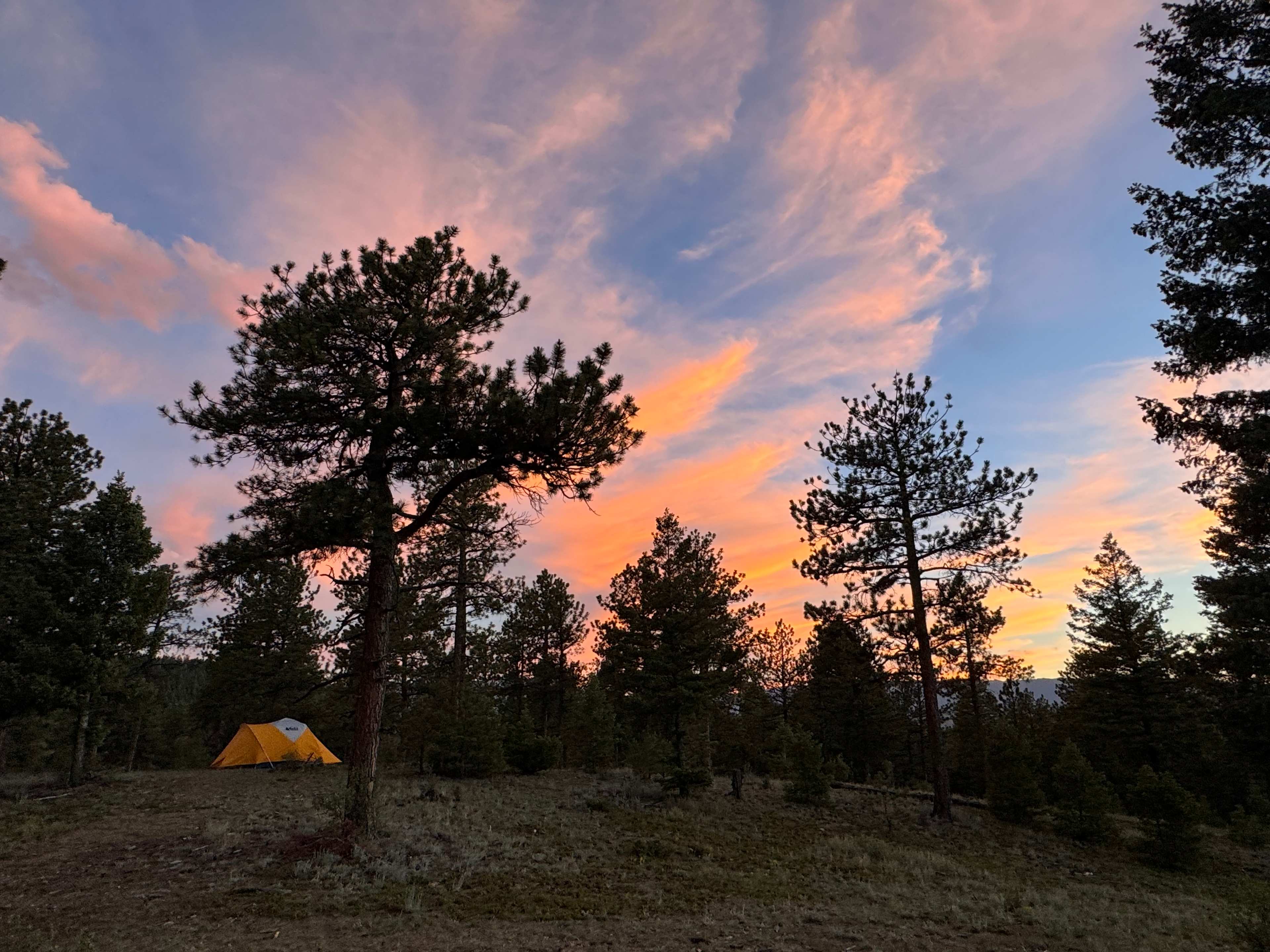 Serenity in the Foothills