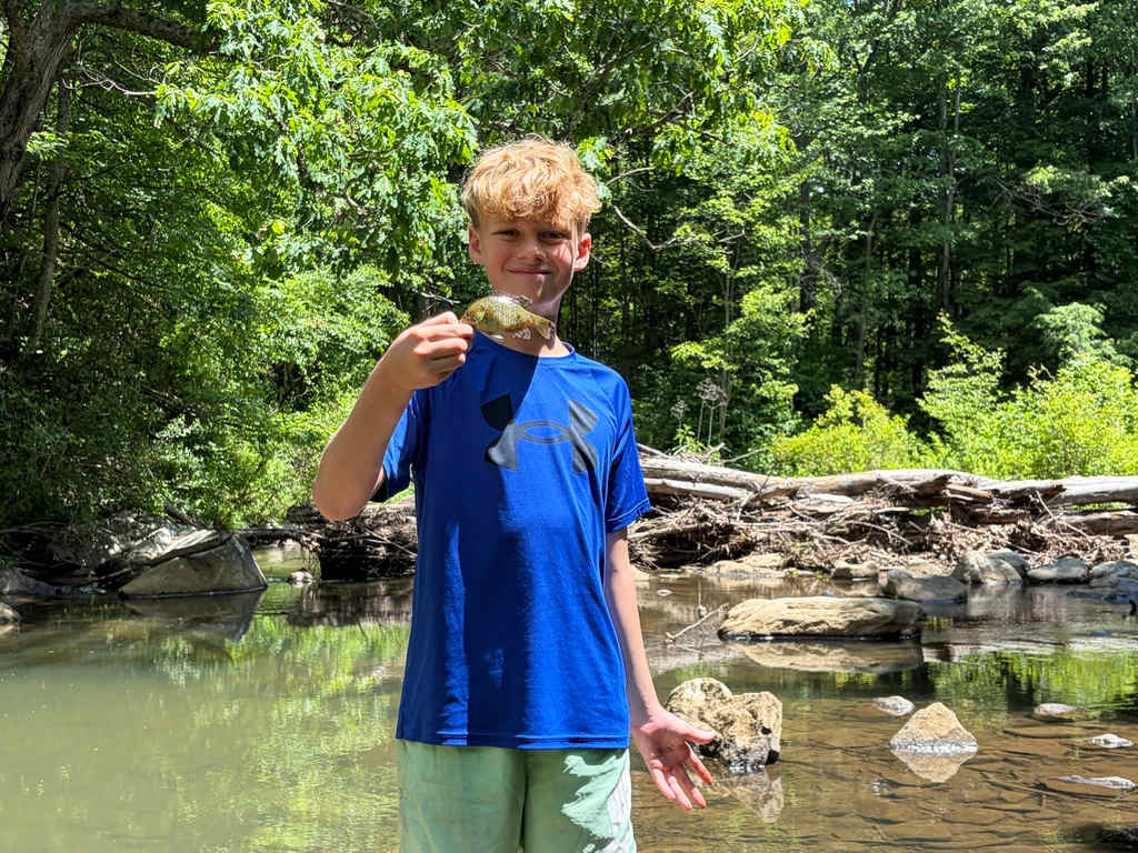 lots of little fish to catch!