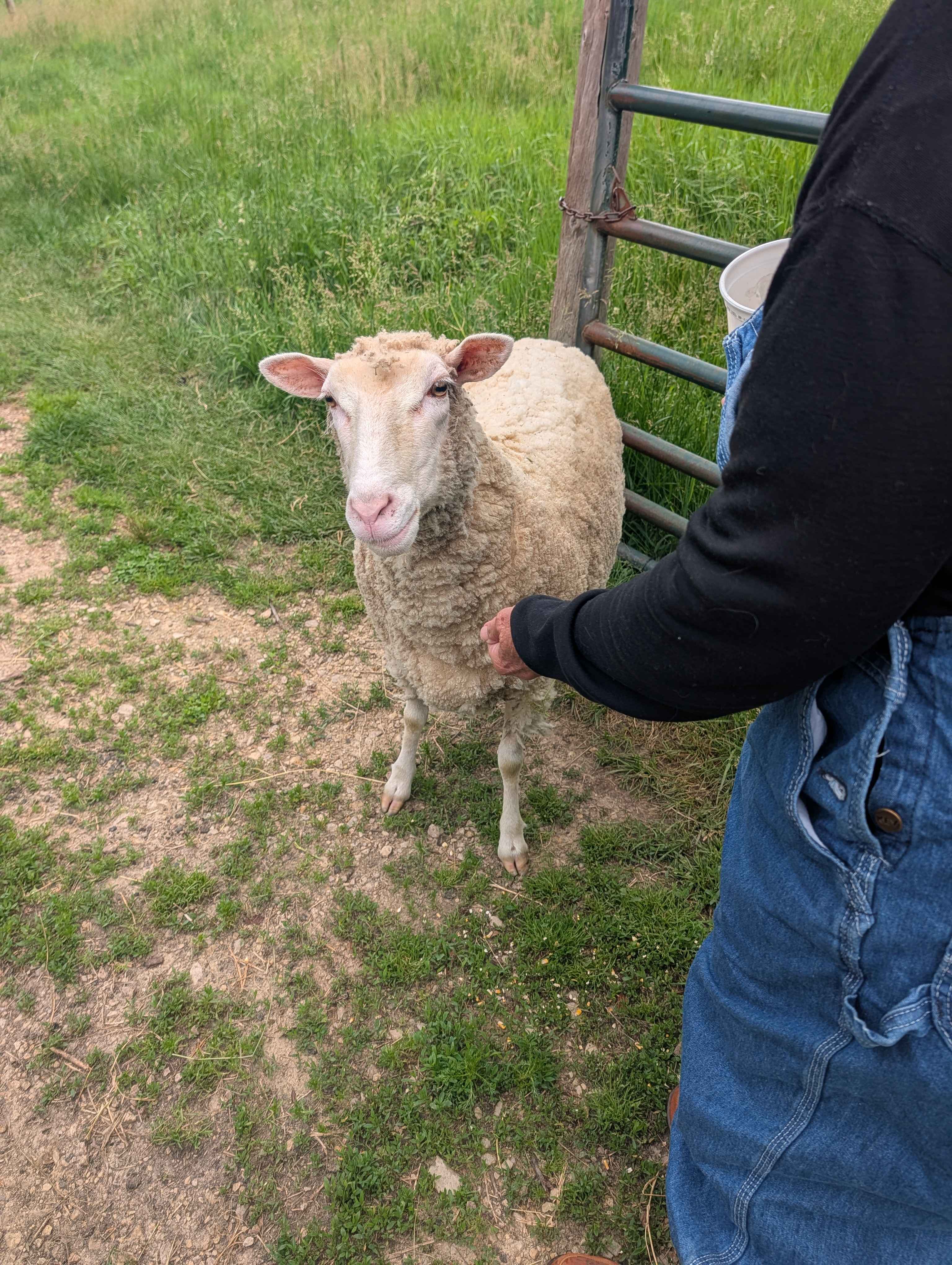 Echo Valley Farm
