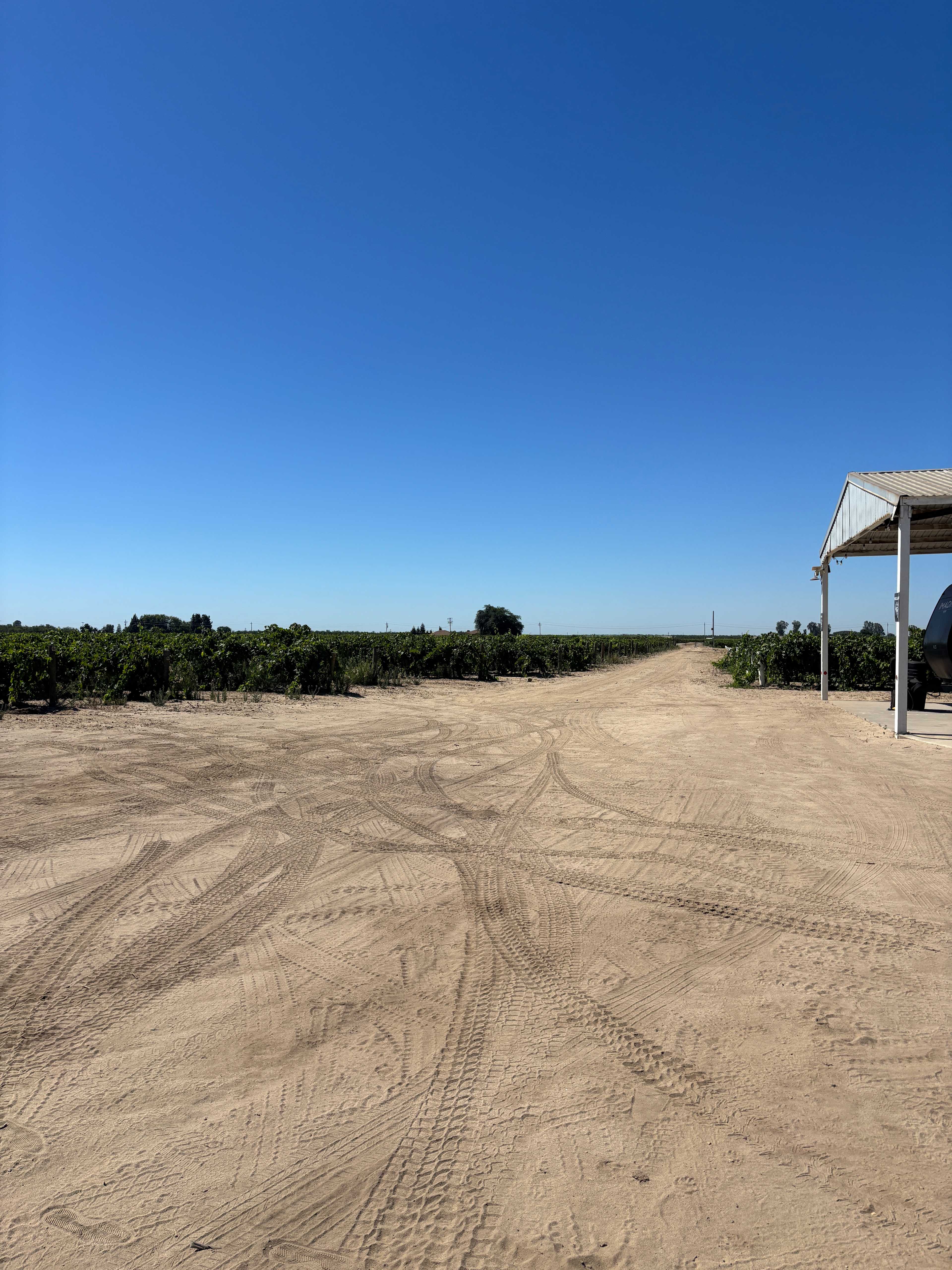 RandCher Vineyards