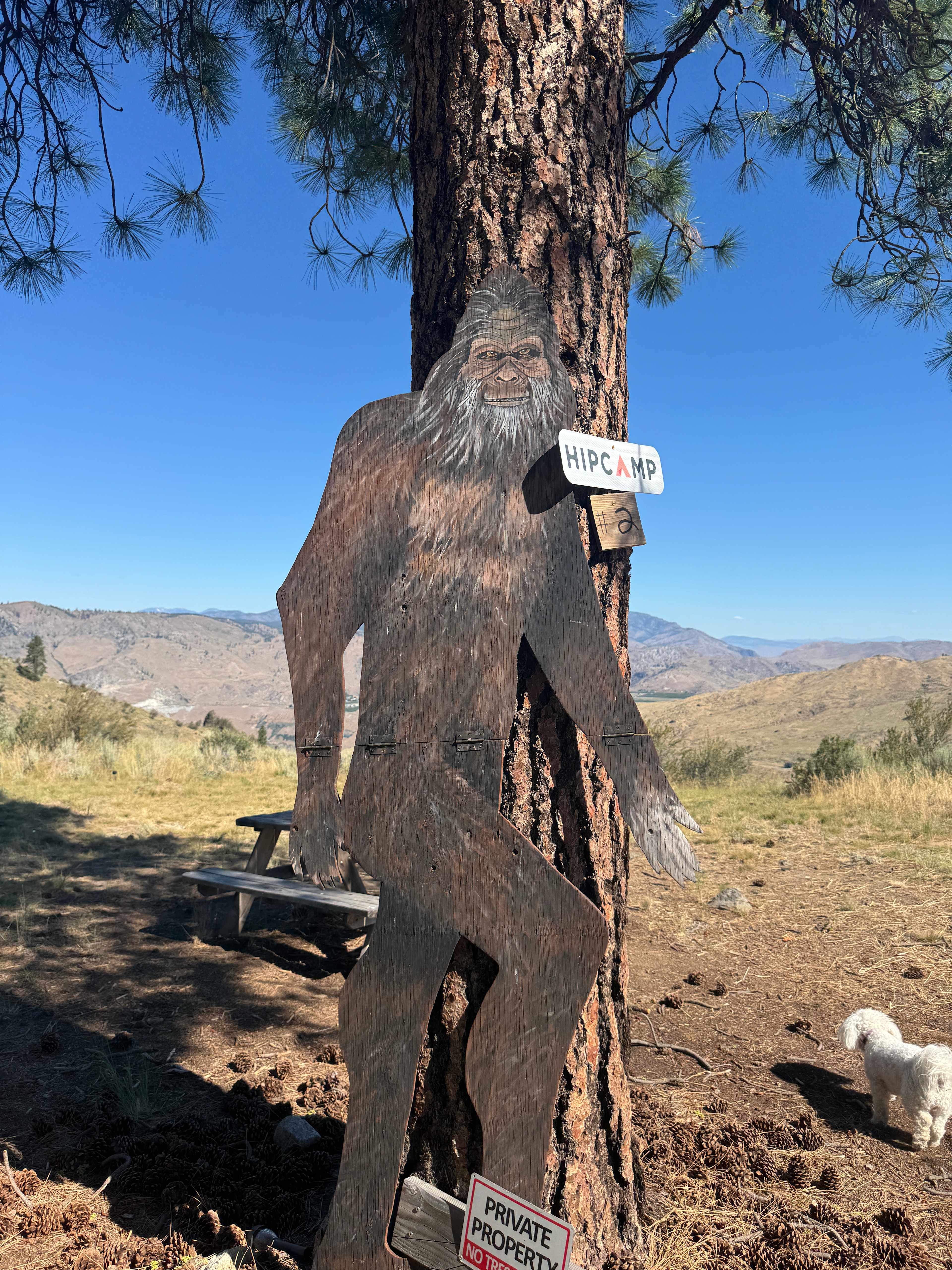 Sasquatch Villa