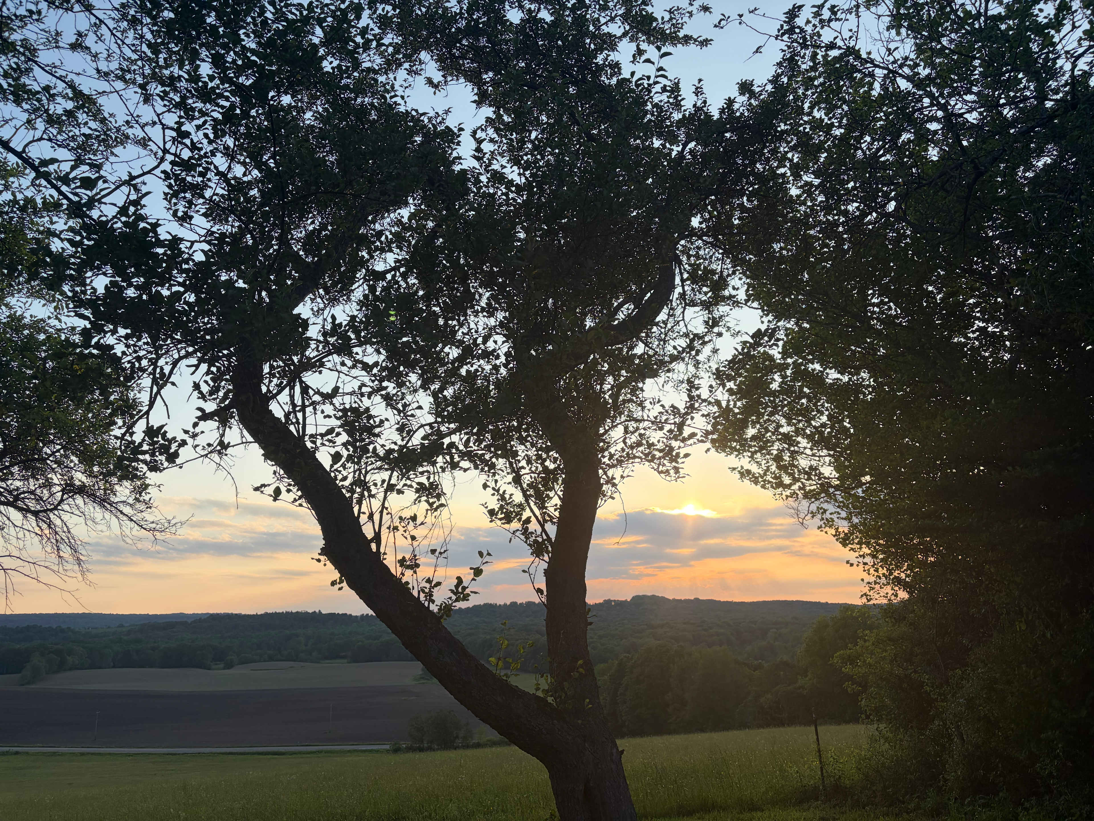 Big Oak Hill
