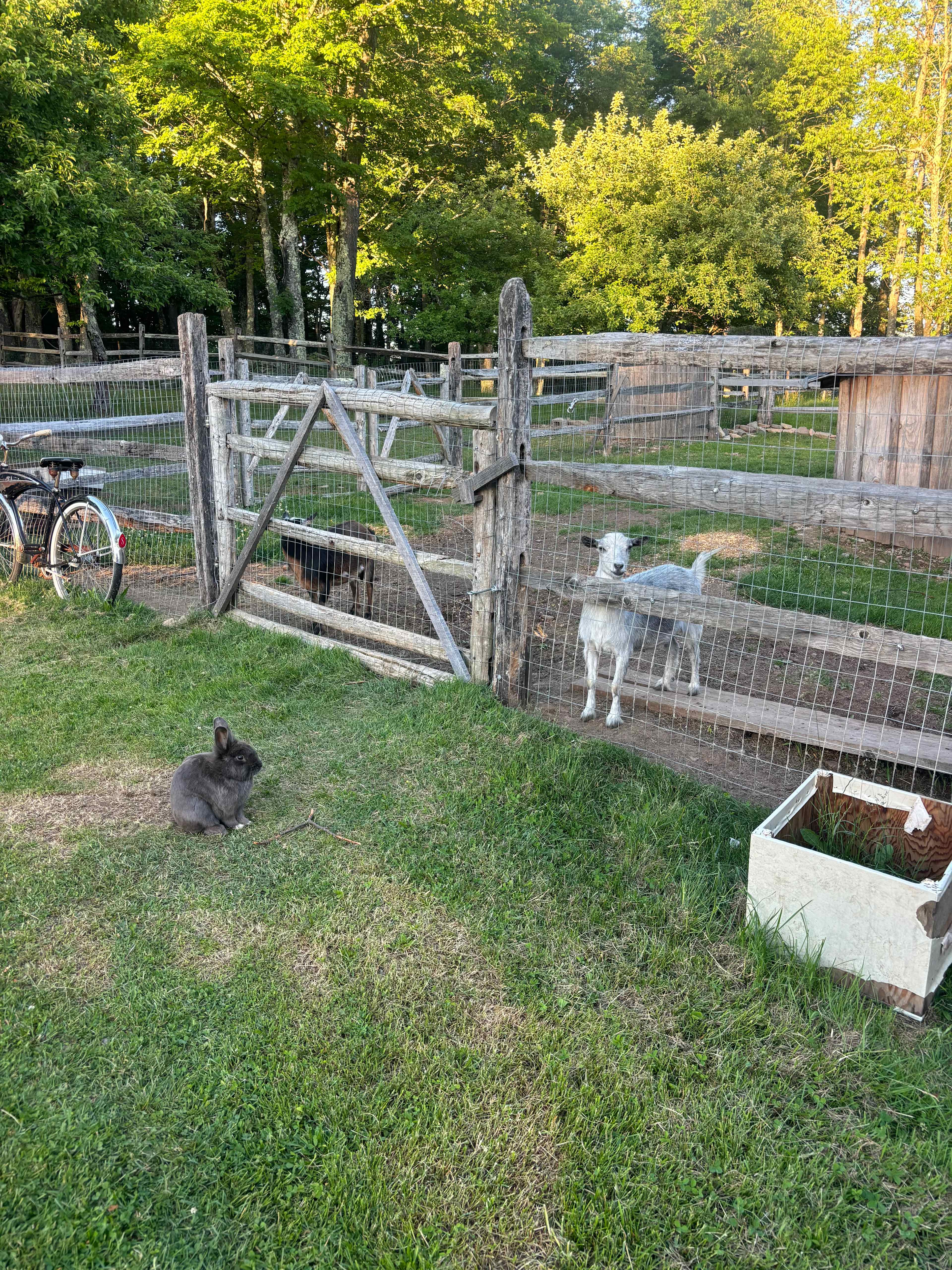 🌾Farmland Retreat Livingston Manor