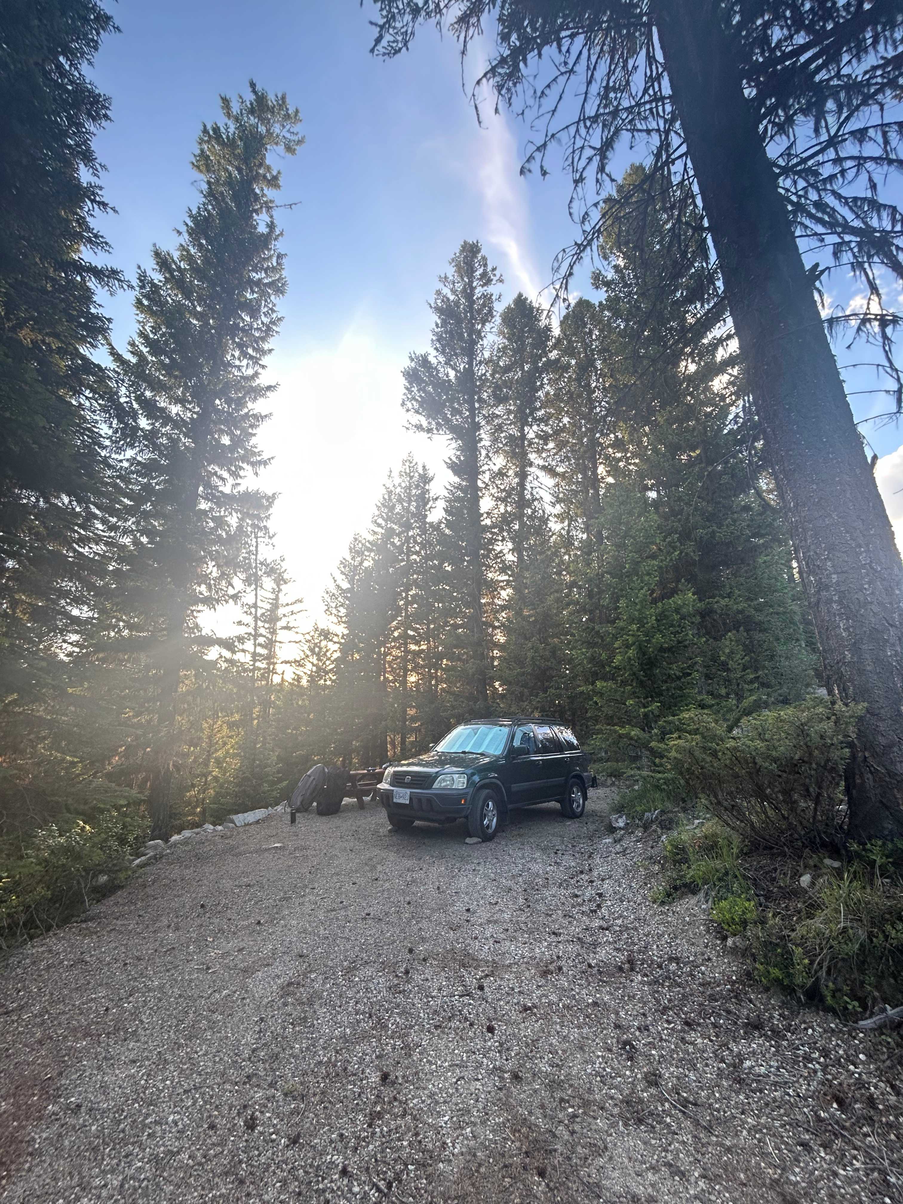 Idabel Lake - Old Growth escape