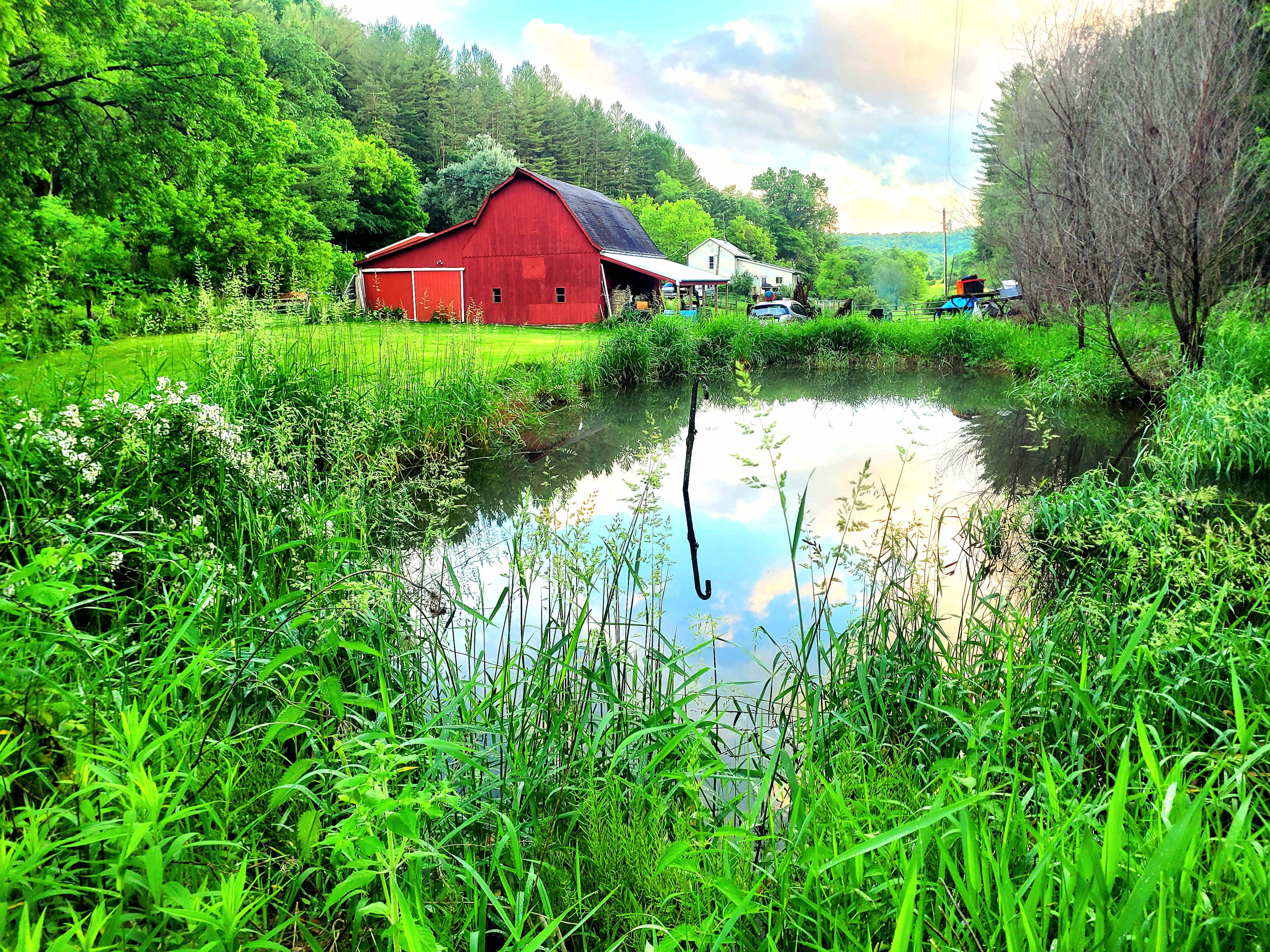 Driftless Haven 125 Acres & Creek