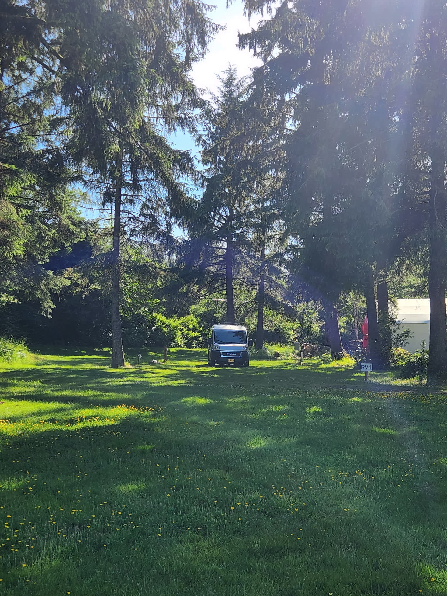Picture of the site